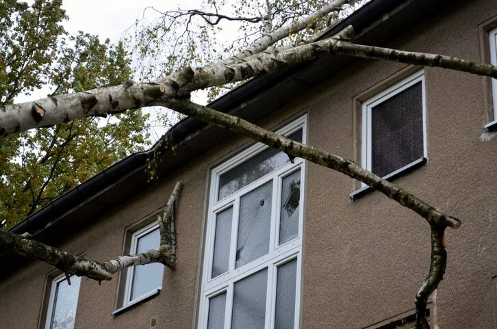 Tree limb resting on the roof of a brown house, near the windows.