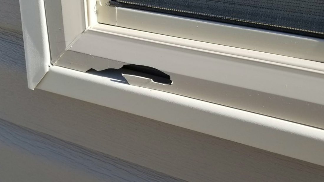 A close-up view of a window frame on a house showing a damaged or missing piece in the bottom edge of the frame.