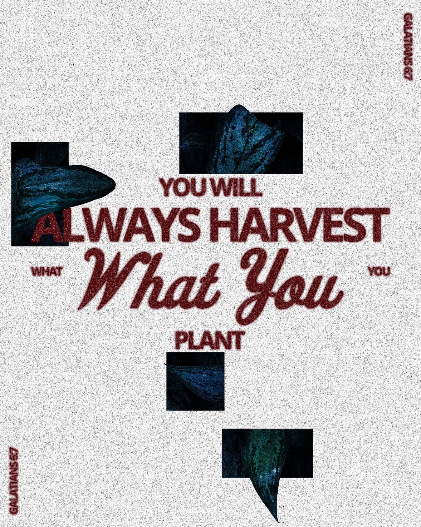 Our hearts are more deceitful than anything else. We desire to satisfy our flesh and through that we reap corruption. Although when we shift our desires to sow to the Spirit then from the Spirit we reap eternal life. At times it can feel stagnant and
