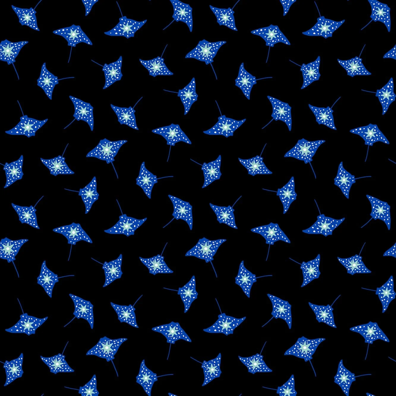 MantaRayMagic_LR.jpg