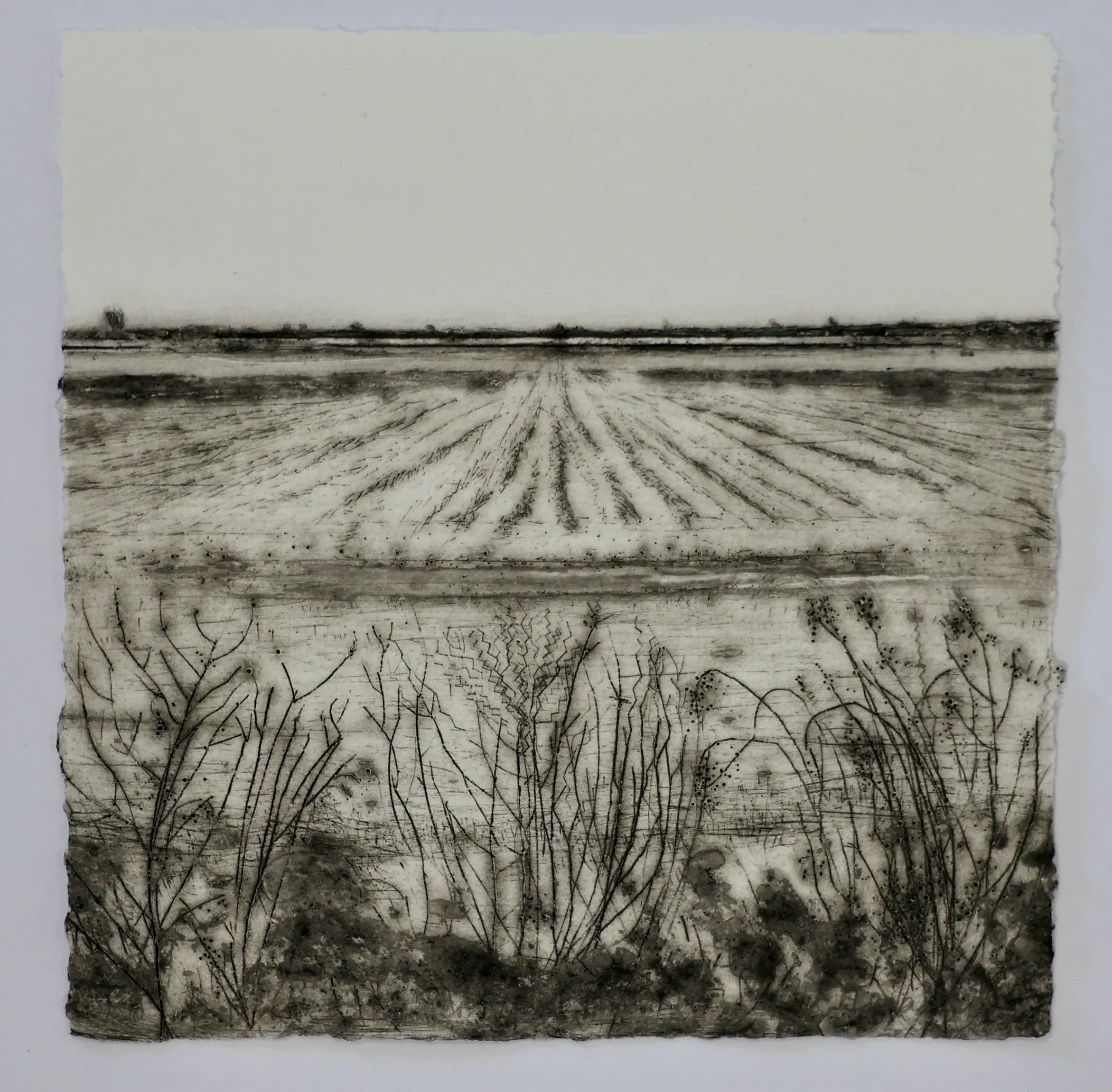 Winter Field State IV showing deckle edge