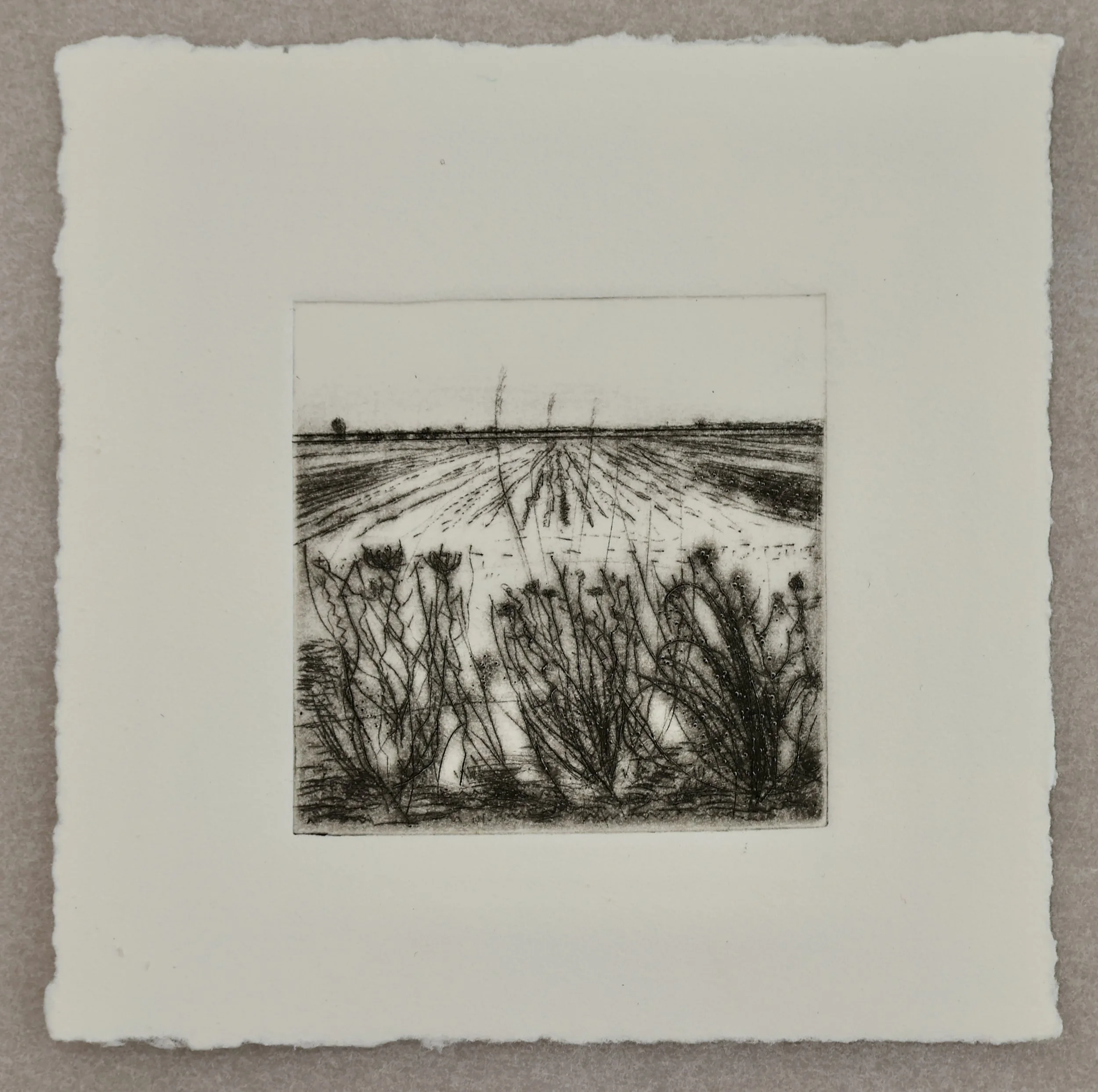 Fenland II showing border