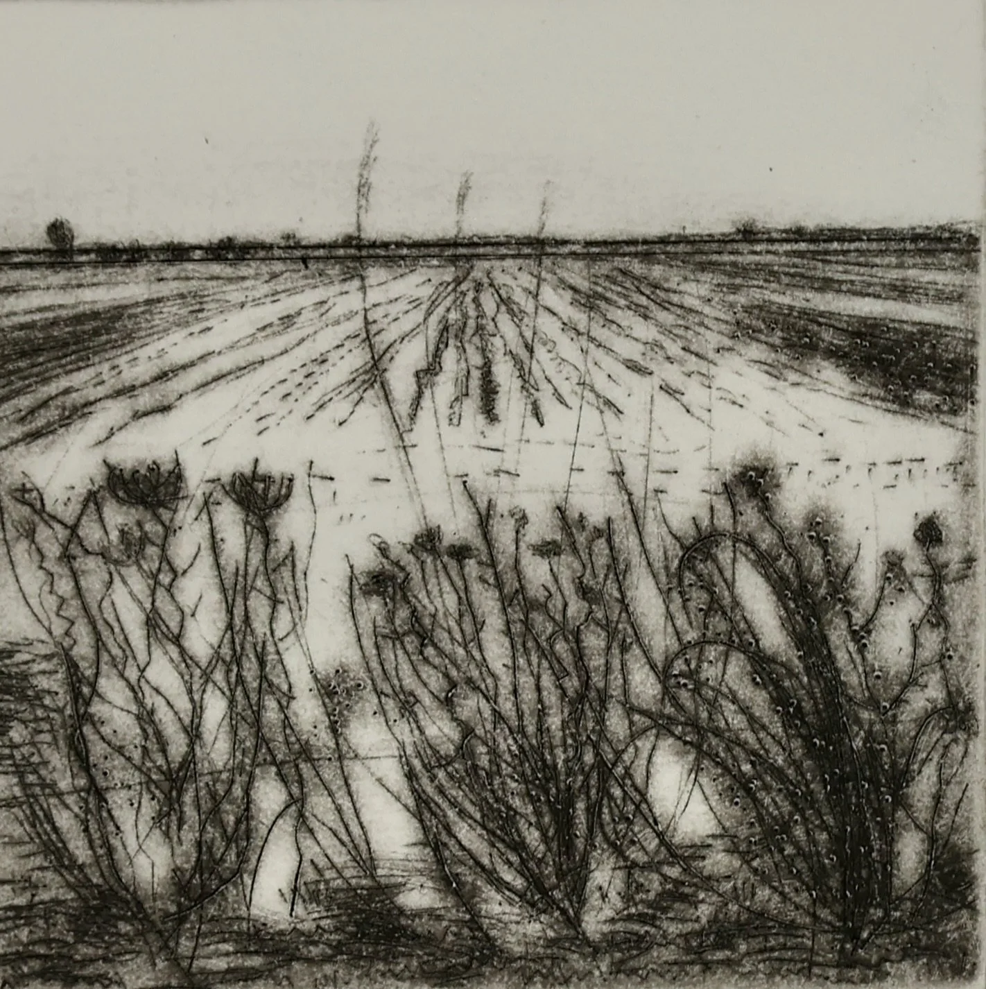 Fenland II