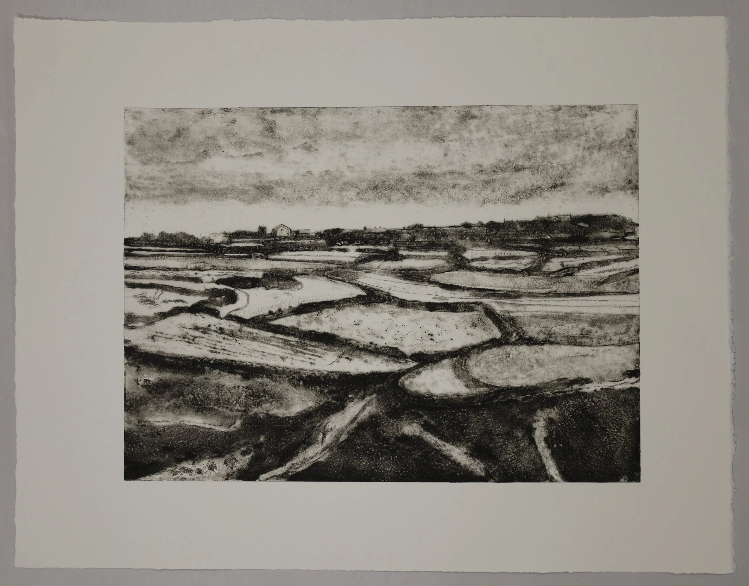 Fields towards St Just showing border