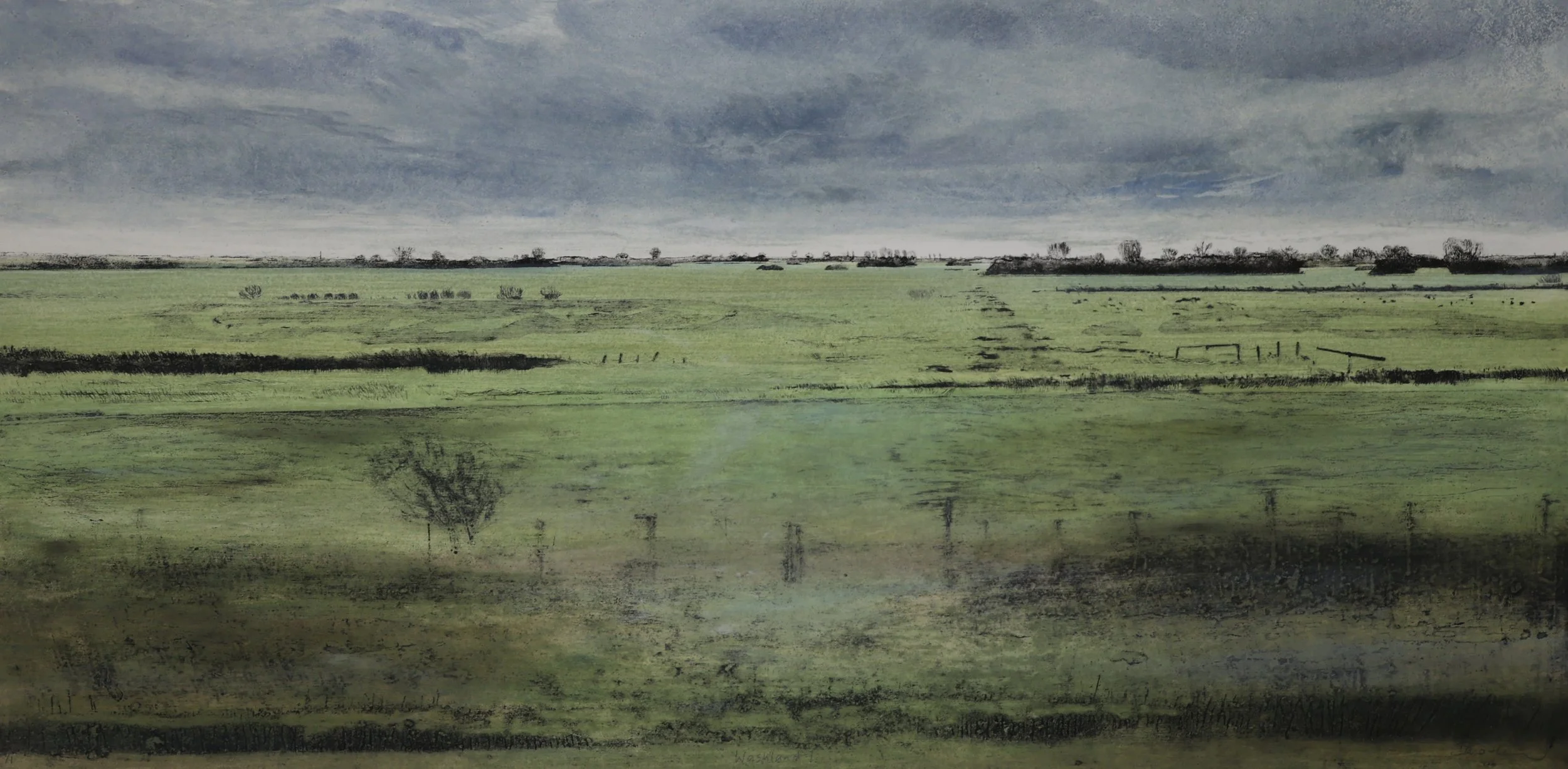Washland I