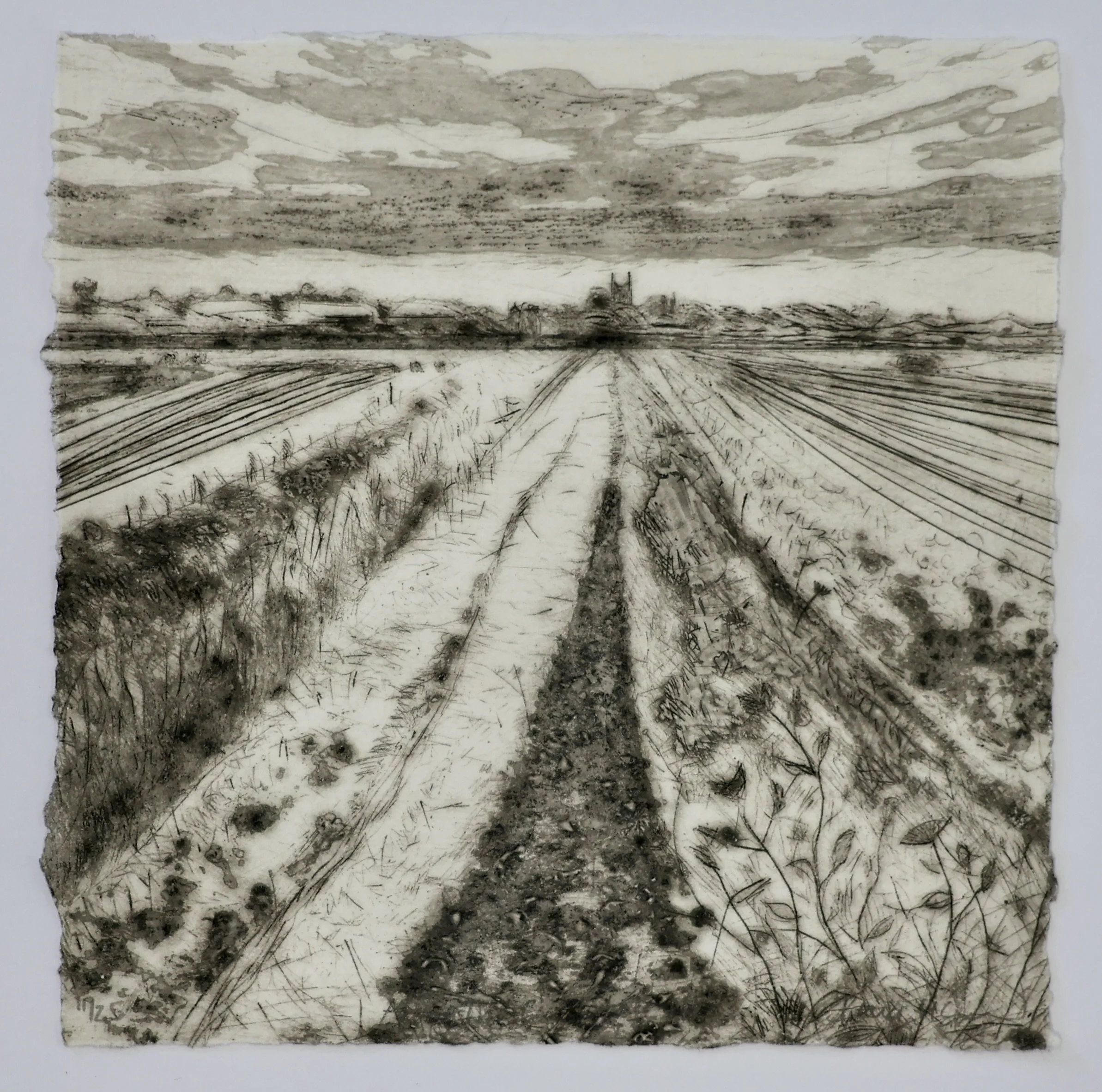 Along The Cut State III showing deckle edge