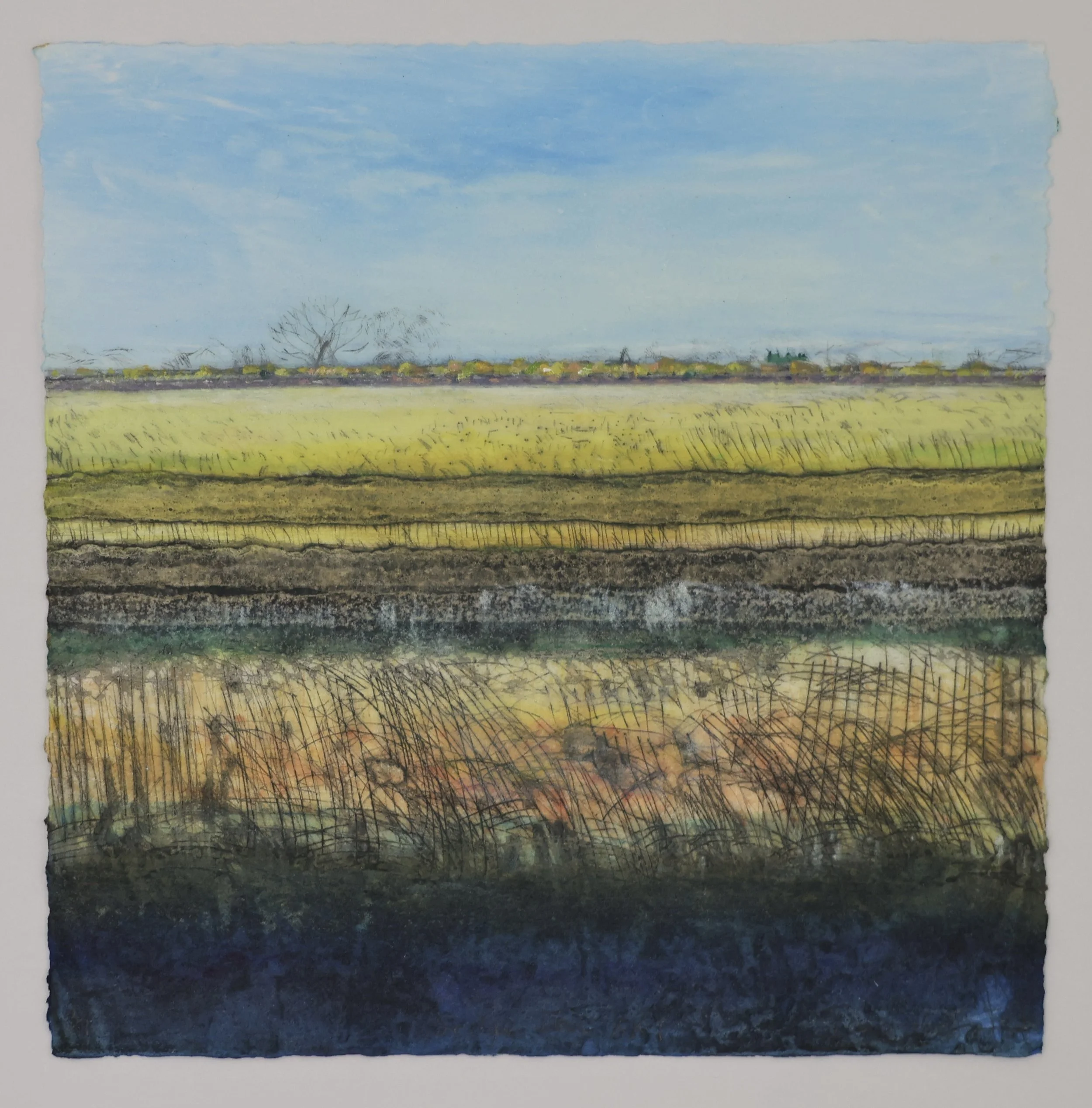 Sedge Fen XXIV showing deckle edge