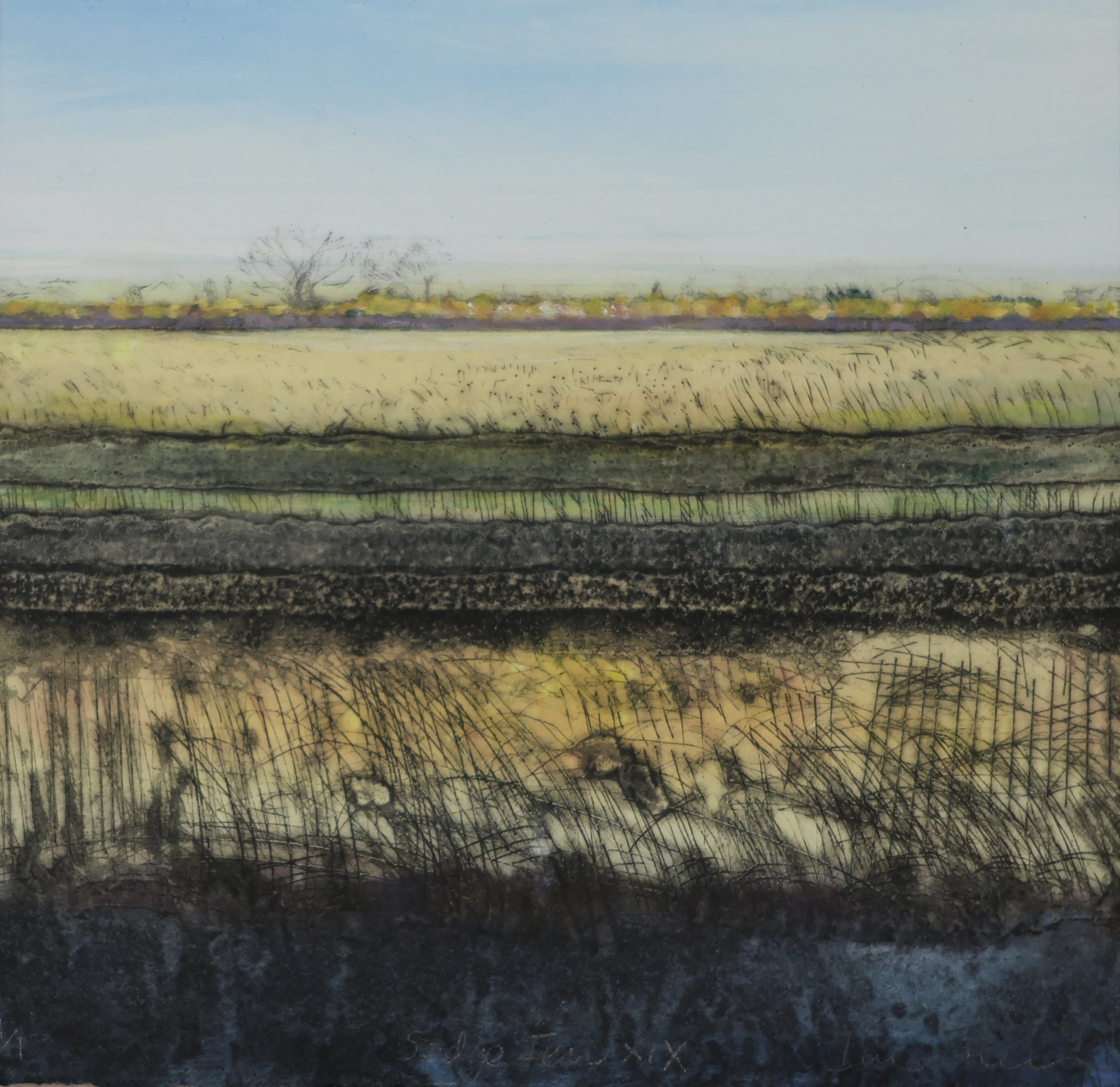 Sedge Fen XIX