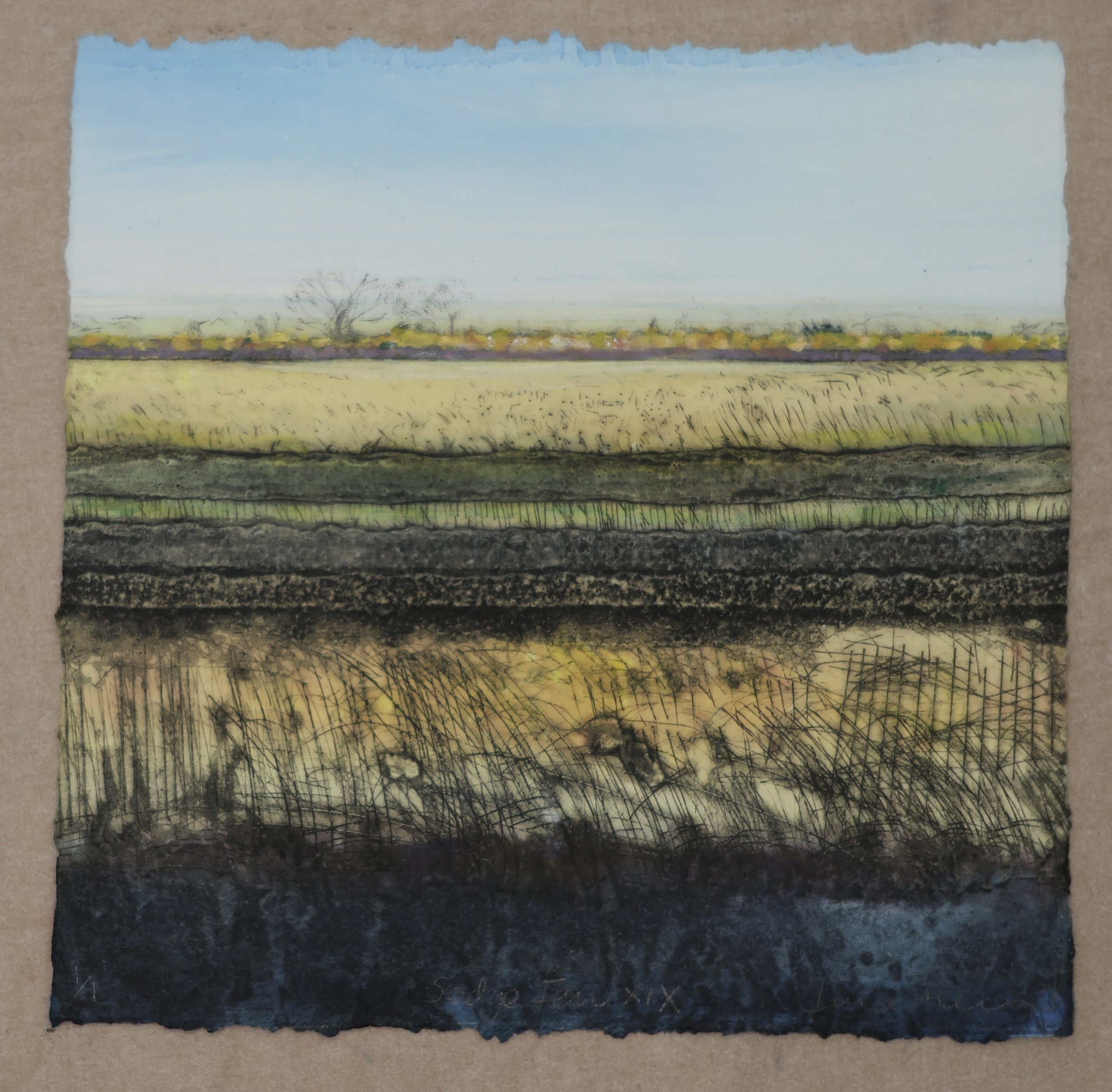 Sedge Fen XIX showing deckle edge