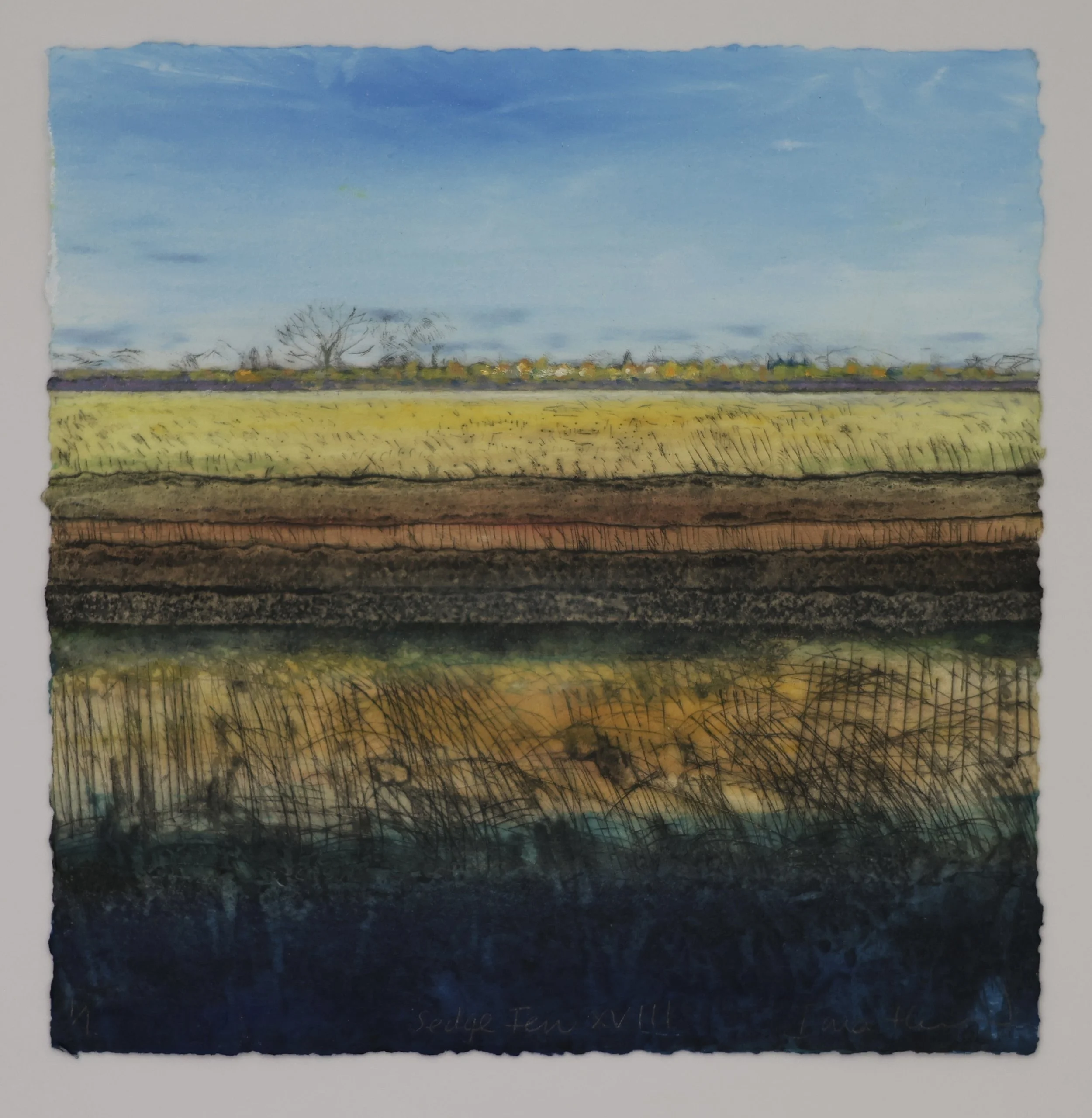 Sedge Fen XVIII showing deckle edge