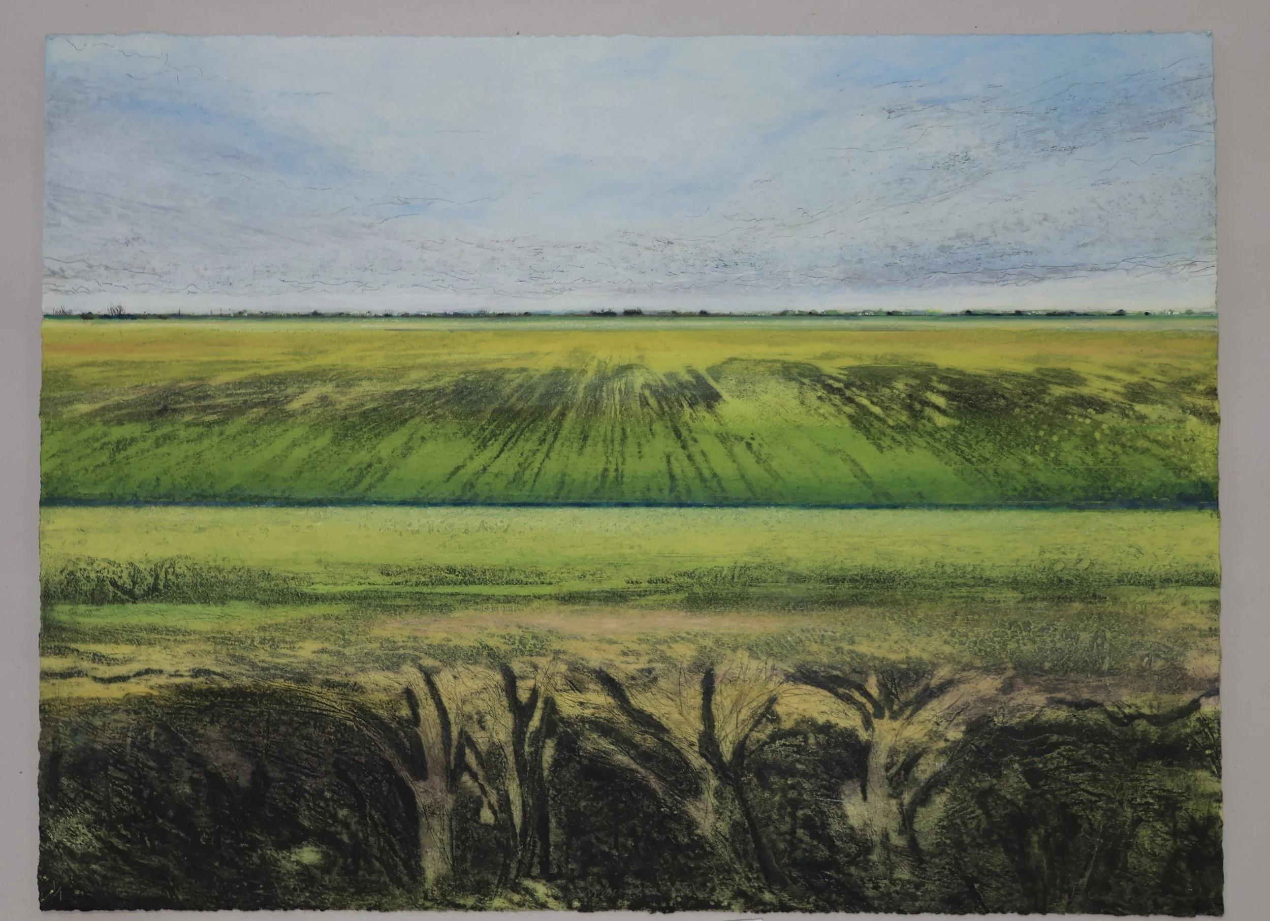 Summer Fen XXIV showing deckle edge