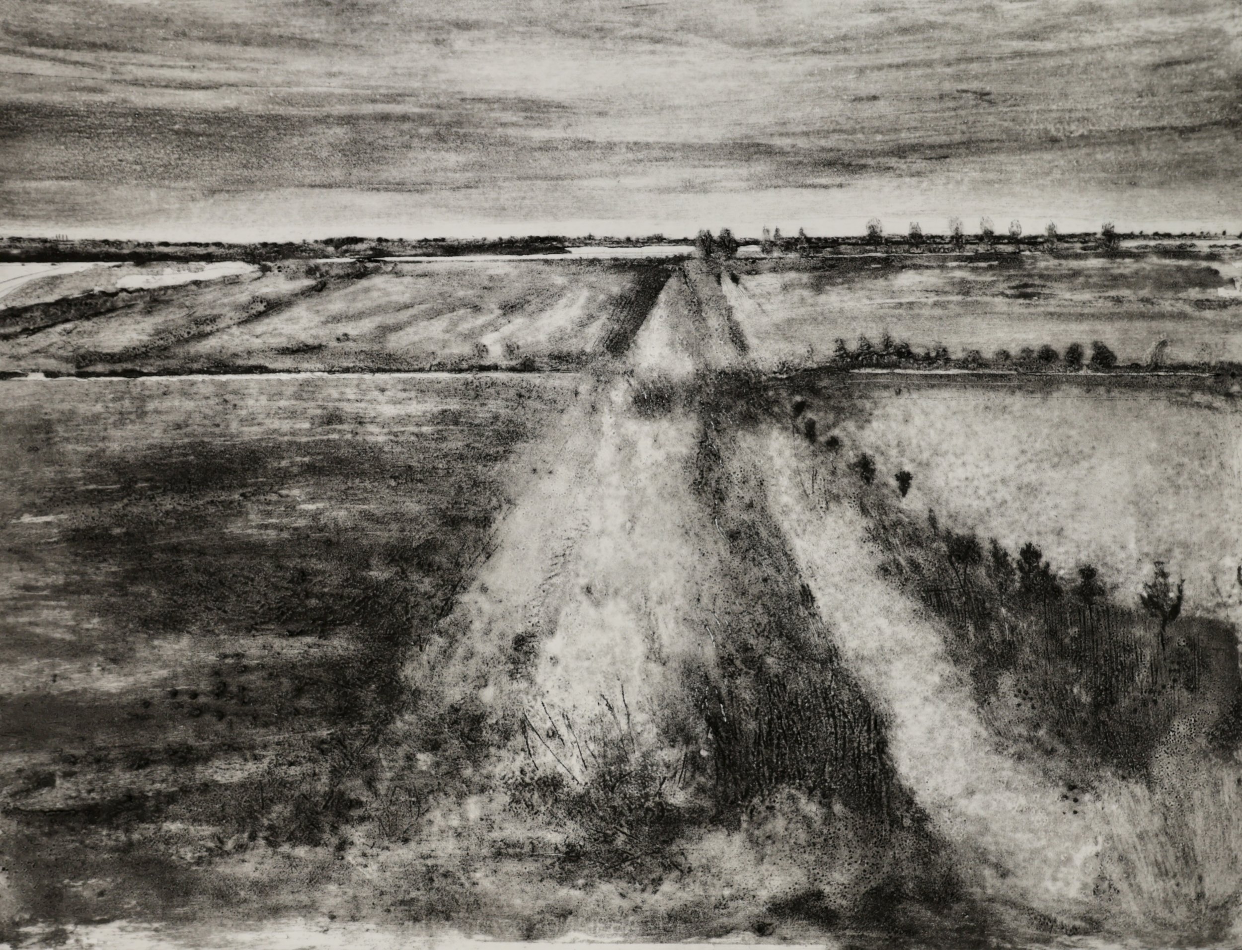 Ditch, Great North Fen