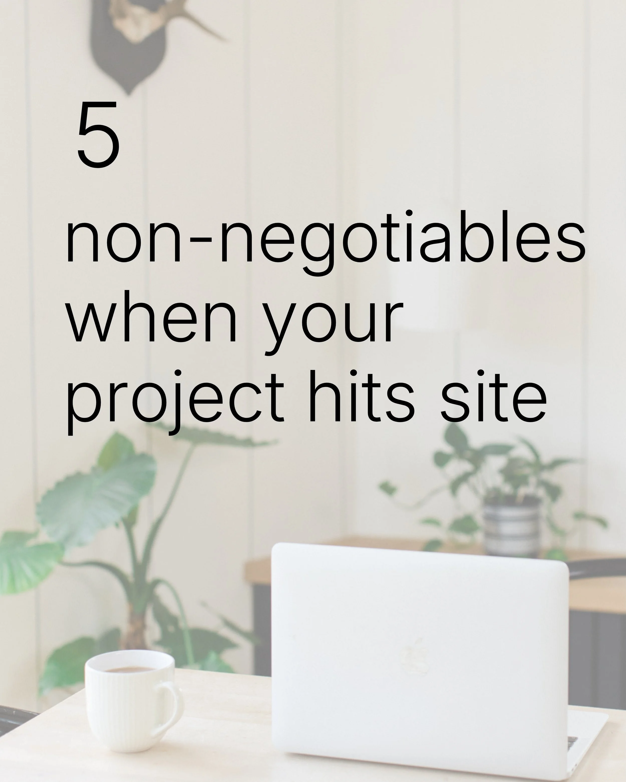5 non-negotiables when you get to site 👀

SWIPE left 👈🏻

#architect #propertyinvestor #propertydeveoplment