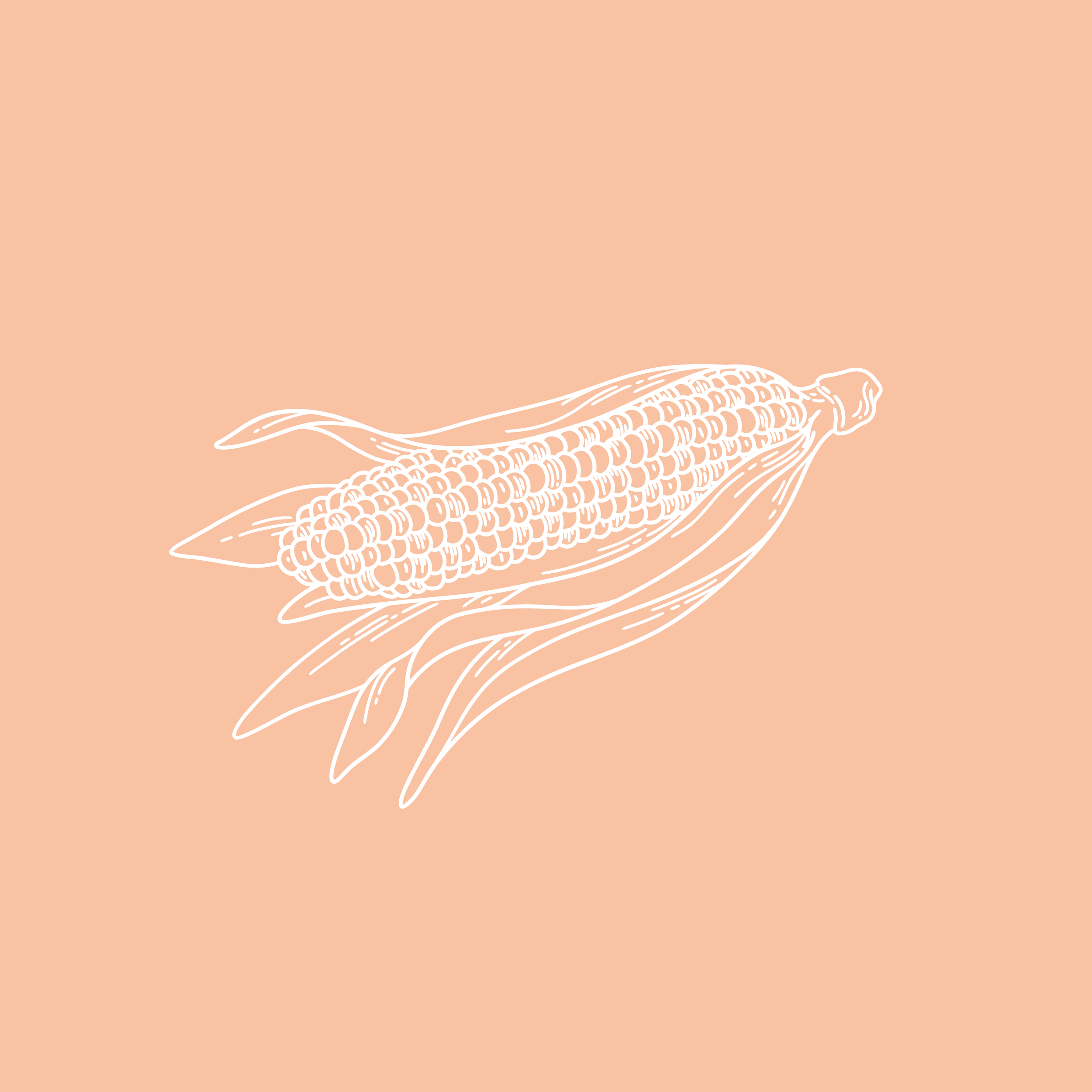 Kirsty_Rainbow Corn.png