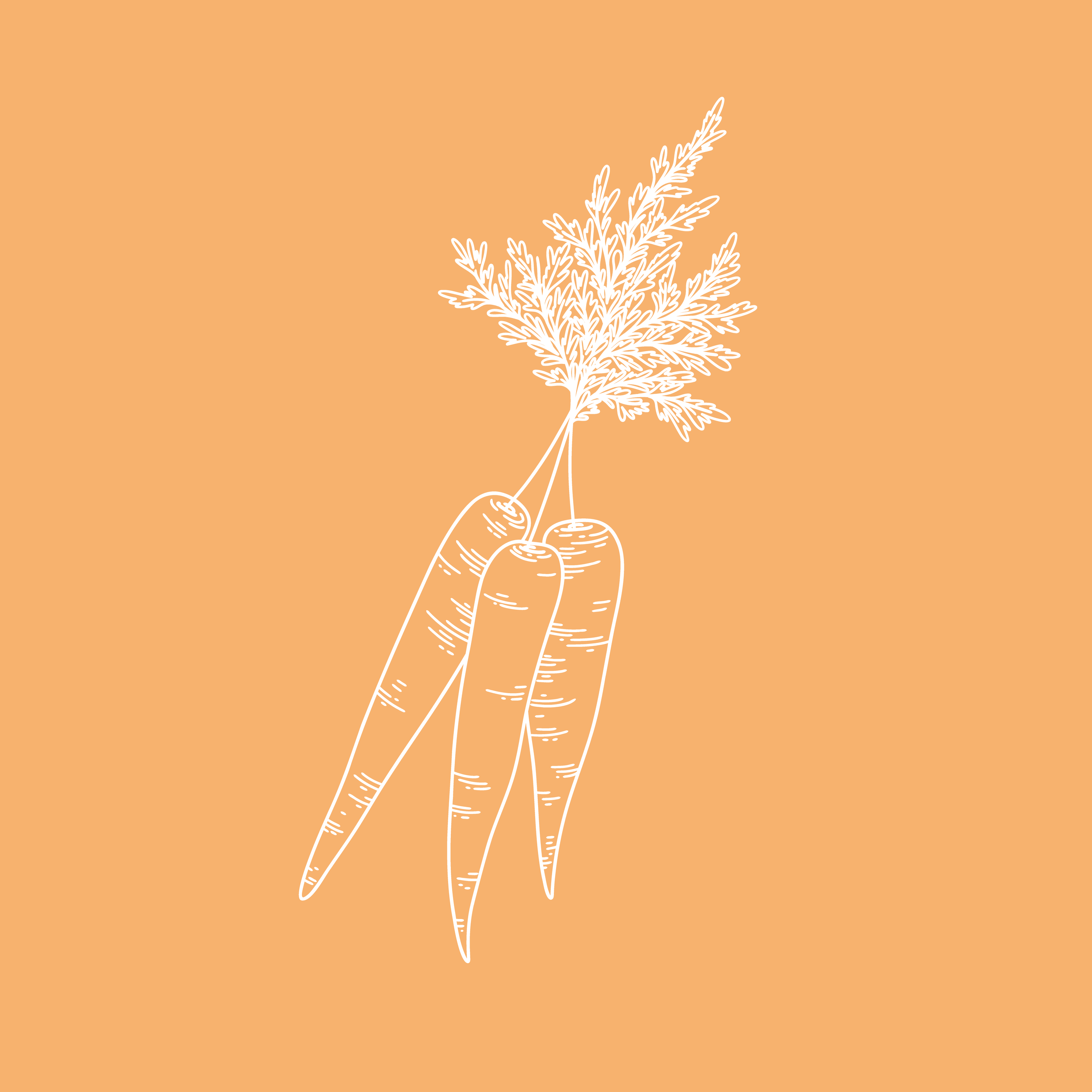 Kirsty_Carrots.png