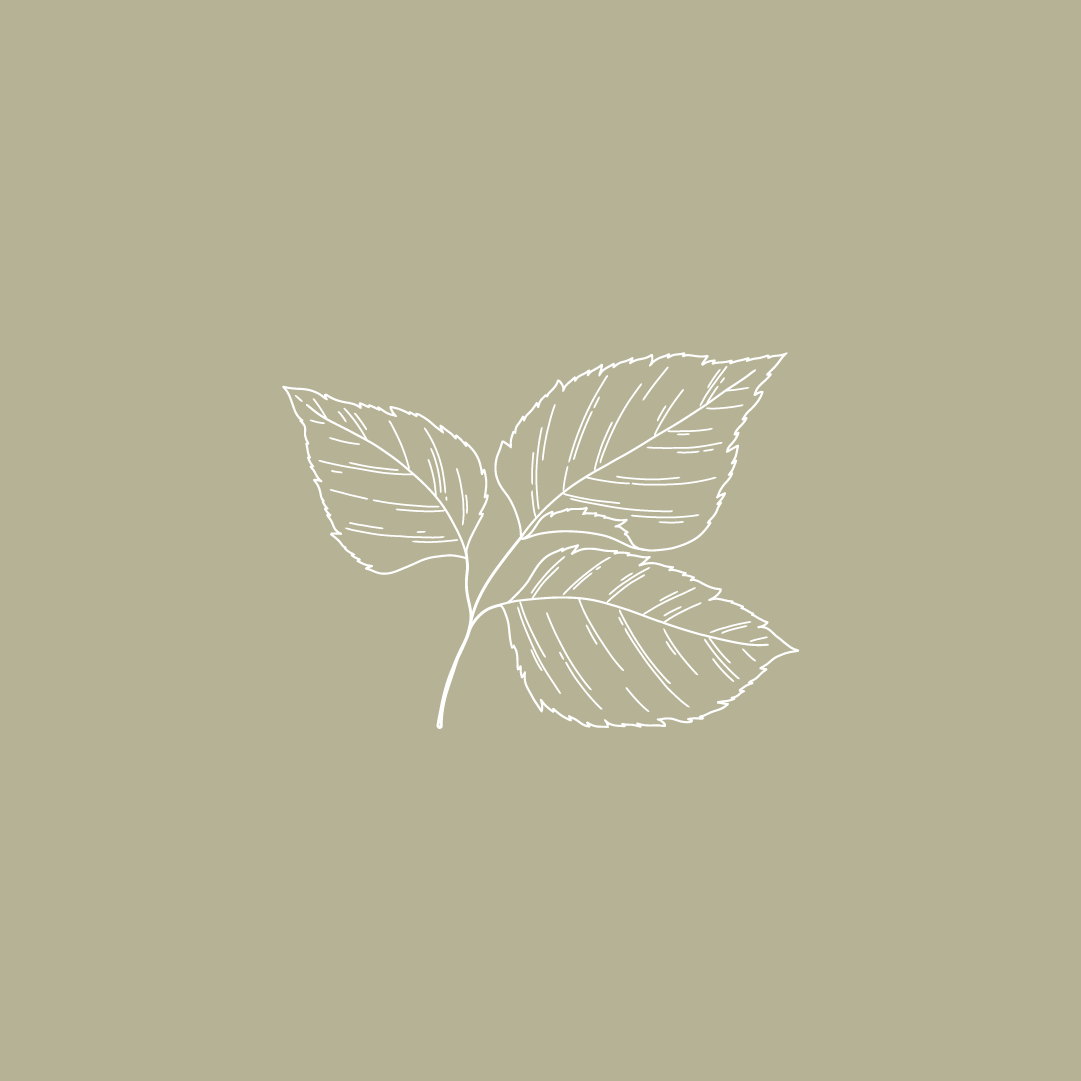 Portfolio Sneak Peeks