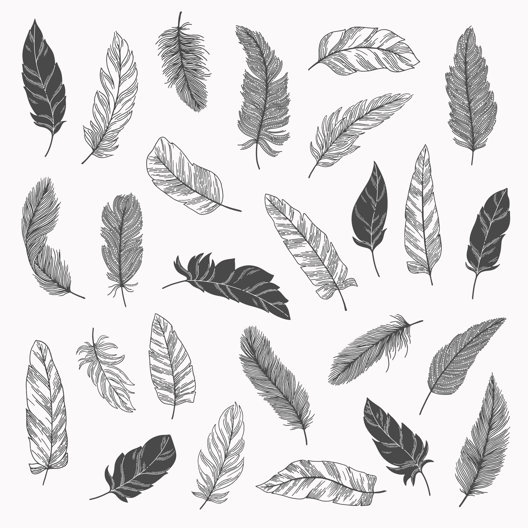 Feathers Vector Illustrations 3.png