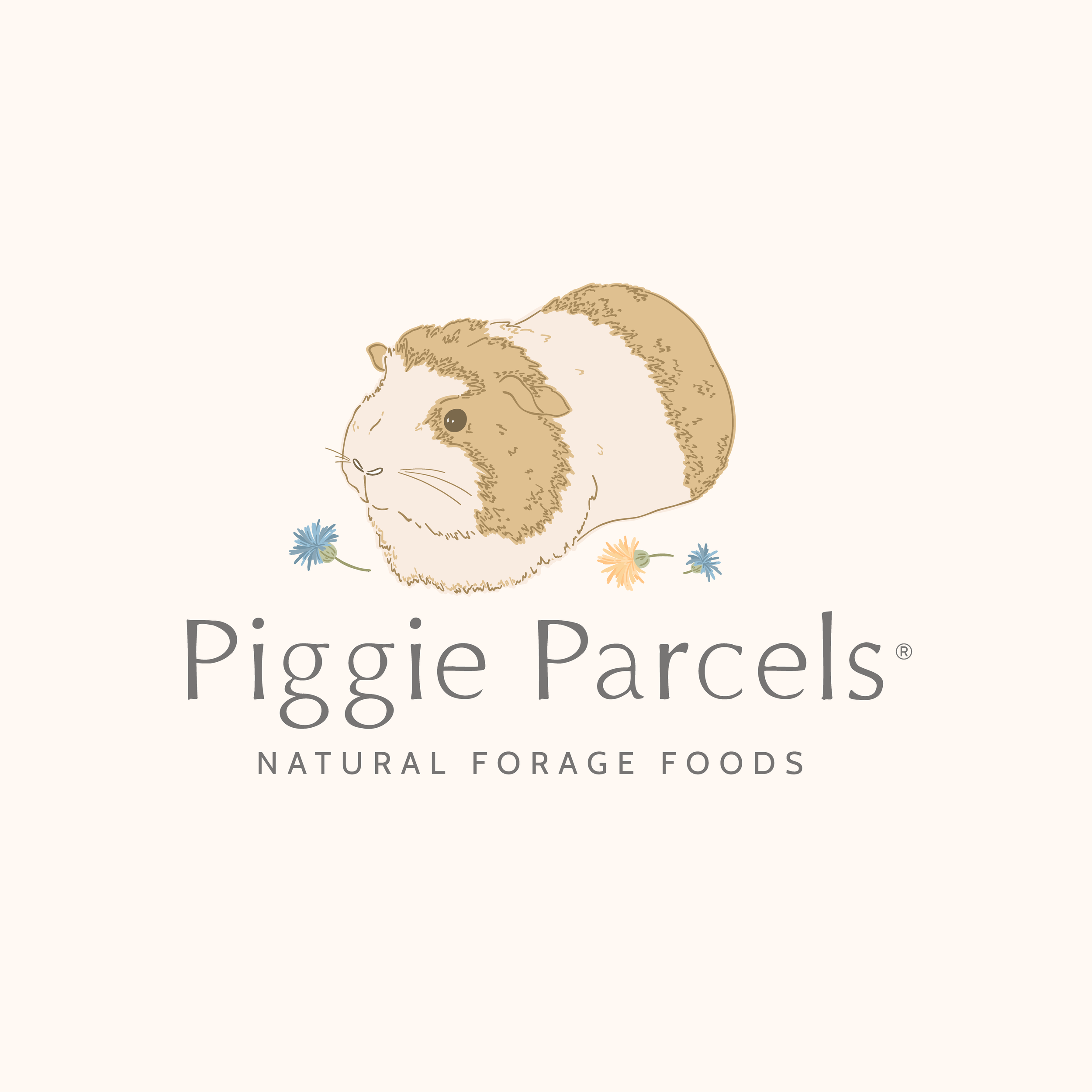 Piggie Parcels -01.png