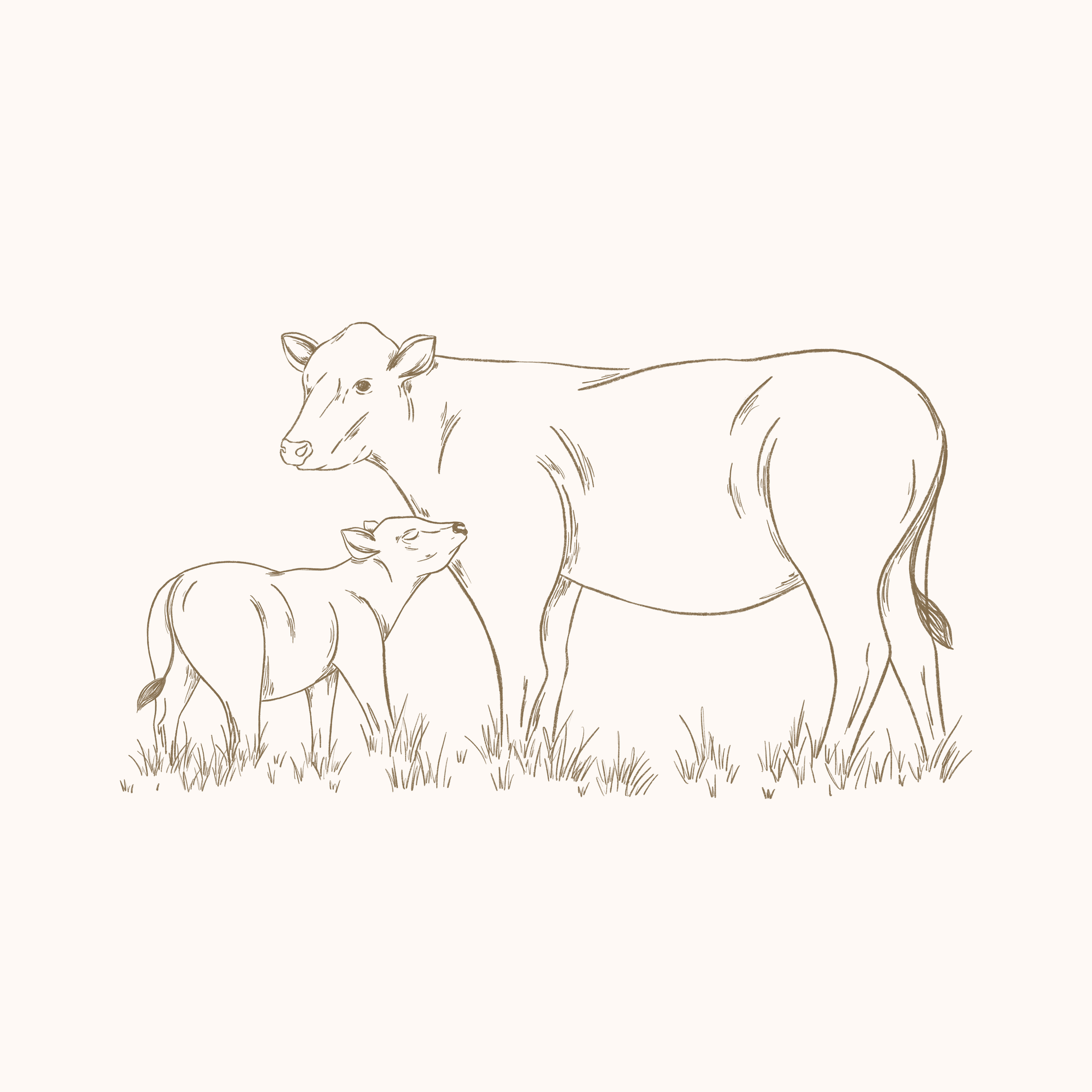 Cows.png