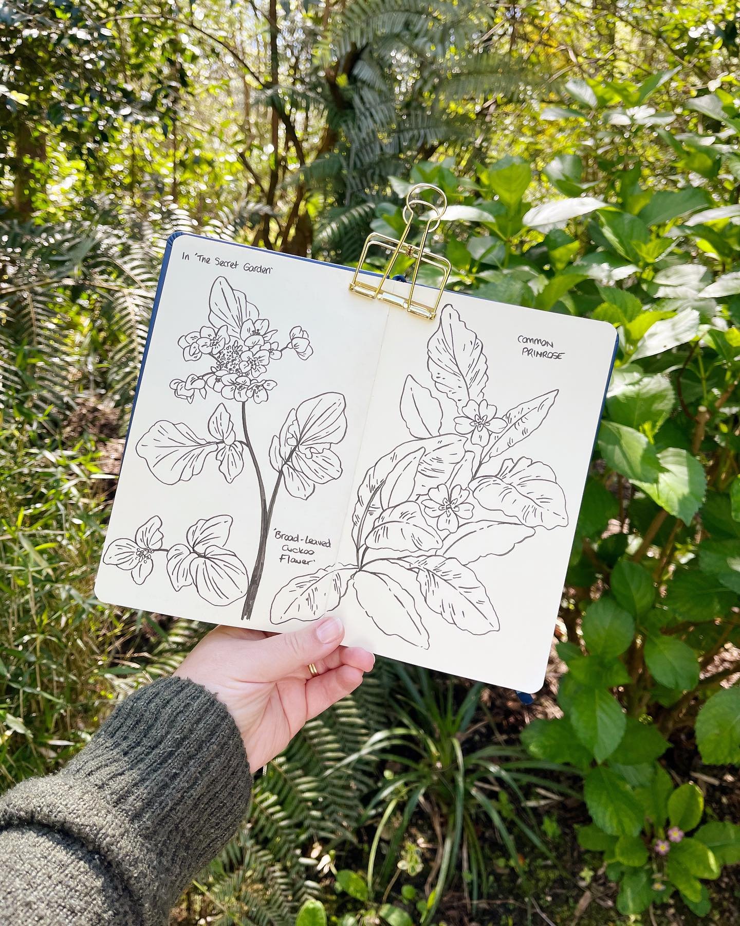 Sketchbook pages from today at @pinetum_gardens 🌿✍️
