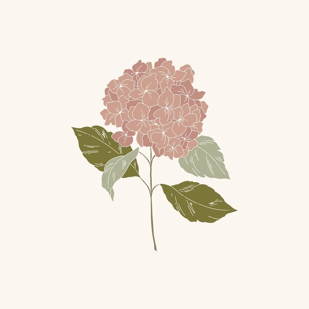 Some lovely nature inspired illustrations created for @thelivingroom_shoreham 🌸

#inspiredbynature_ #brandidenity #brandingdesigner #illustrations #creativebusinessowner