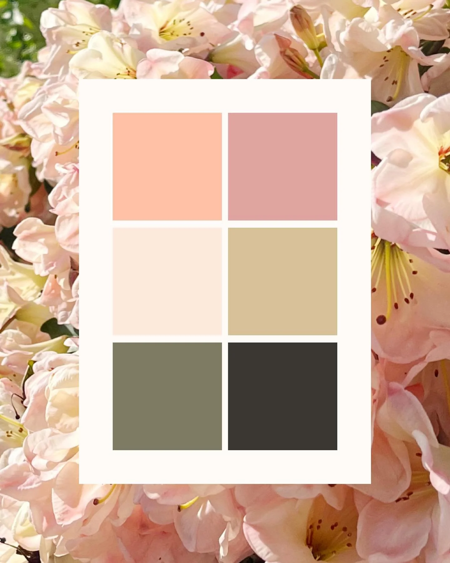 Pretty colours I&rsquo;m working with at the moment 🌸✨

#colourpalette #colorpalette #graphicdesigner #brandingdesigner #creativityfound #creativebusinessowner
