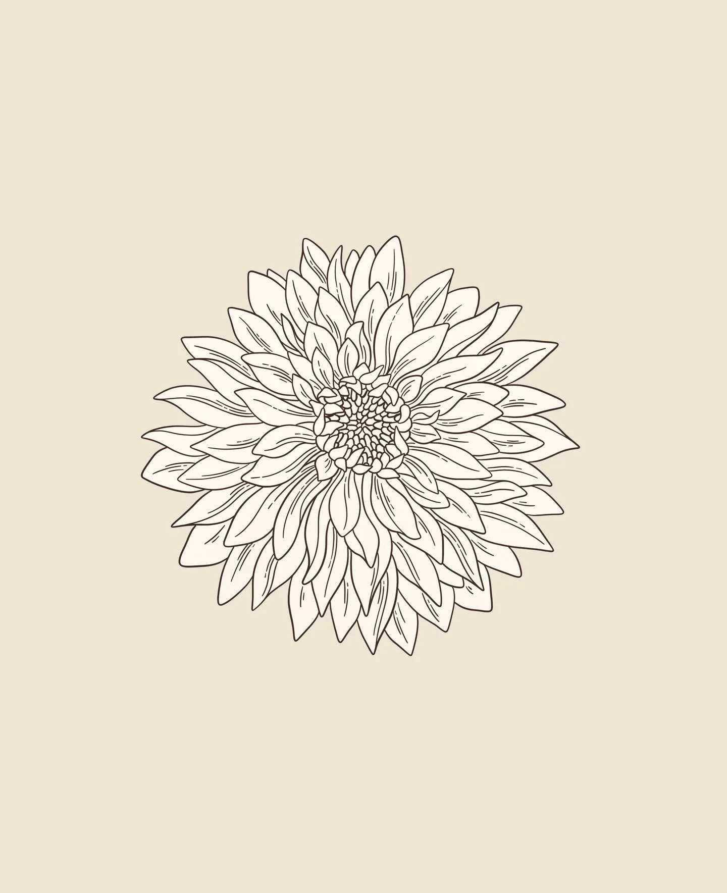 The custom illustrations are always my favourite part of a branding project - especially if they involve pretty florals ✨ These are from a branding project currently in progress 🌸