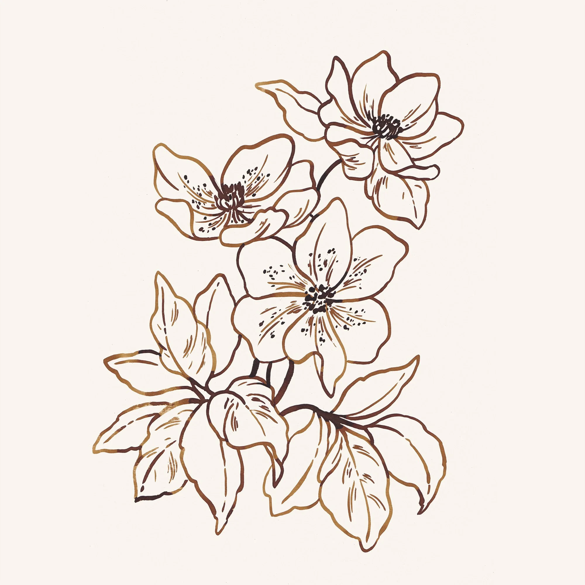 Ink Illustration b 6 web.jpg