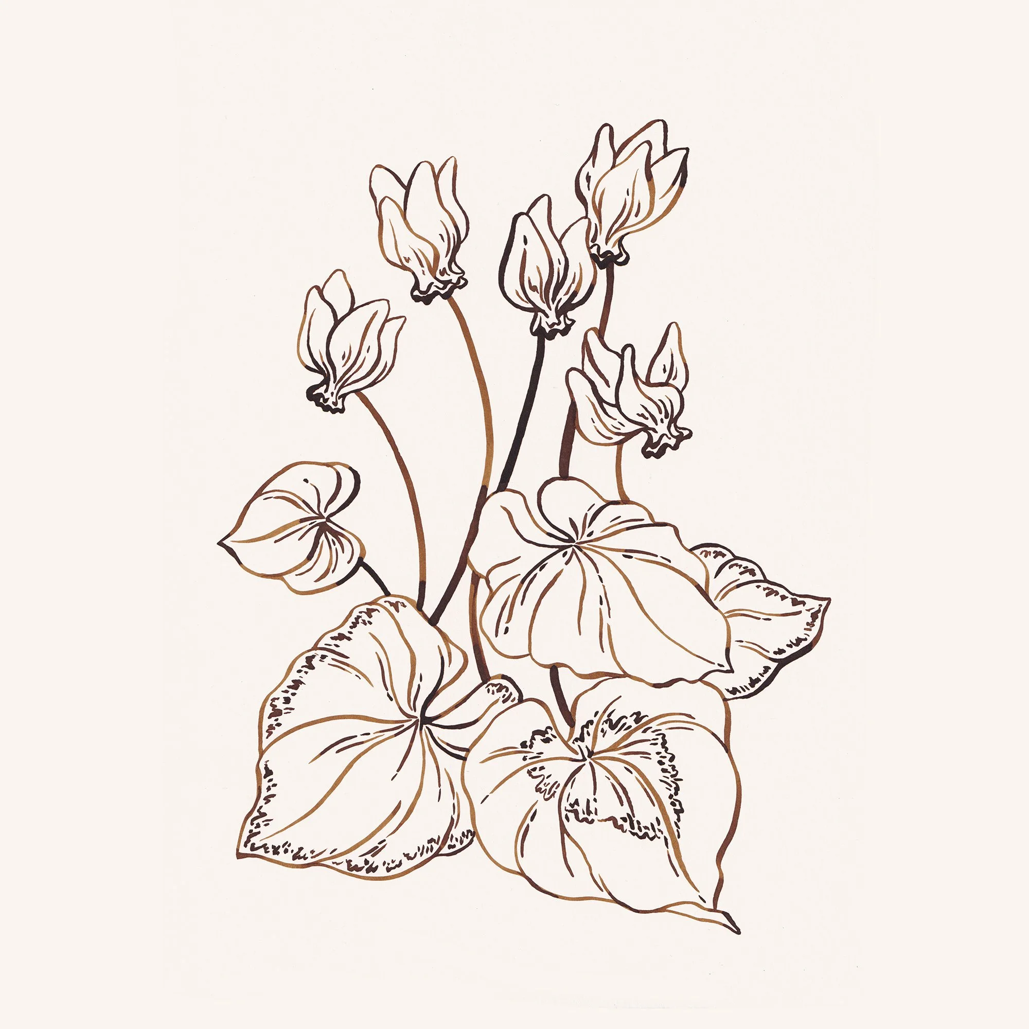 Ink Illustration b 2 web.jpg