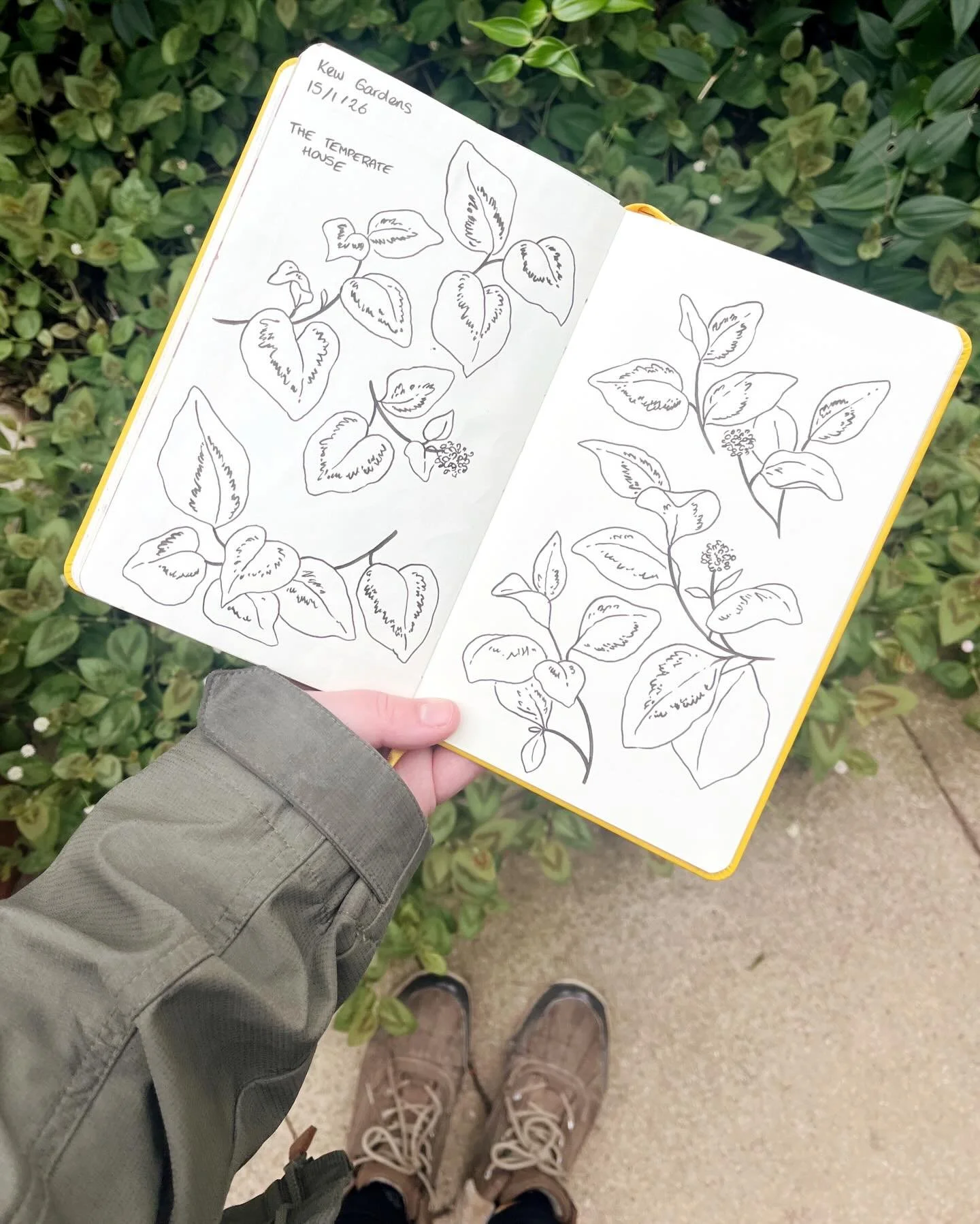 Sketchbook pages from a day at @kewgardens last week ✍🏻🌸