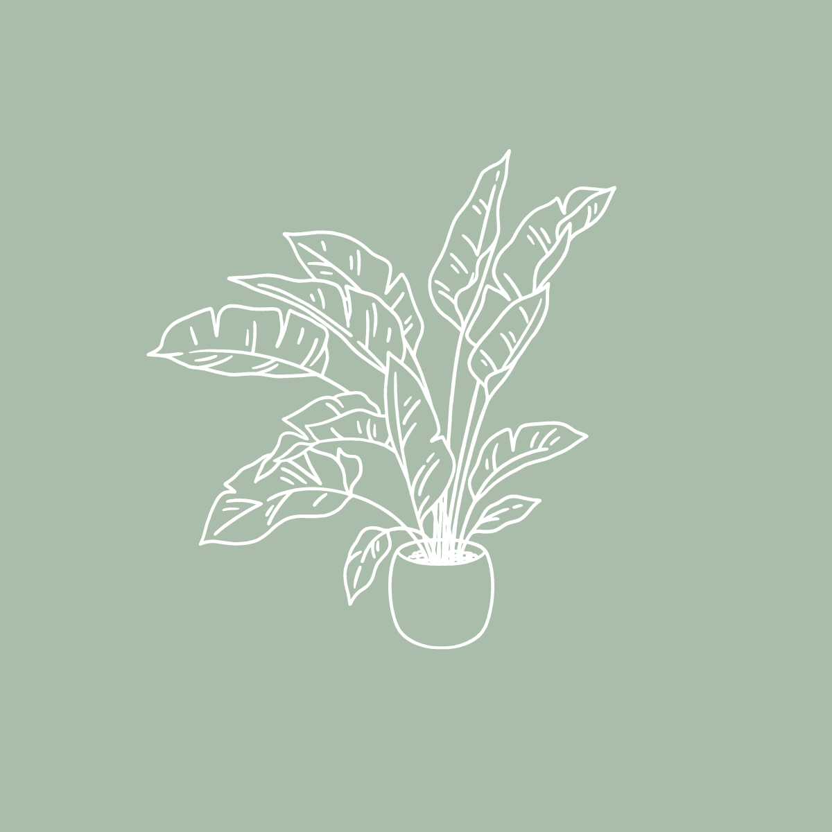 Custom Illustrations for Evergreen Style