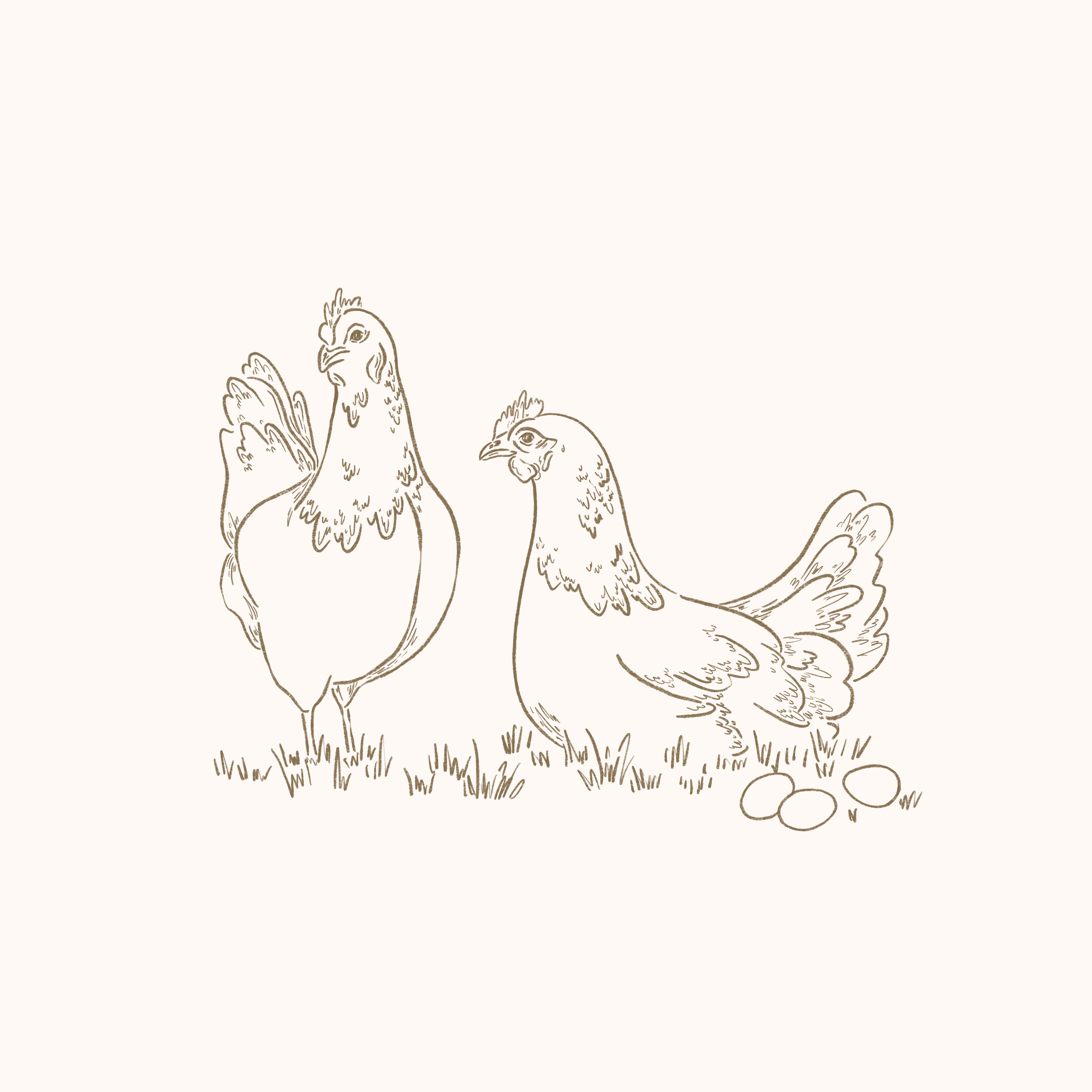 Custom Illustrations for Dapper Fox Design