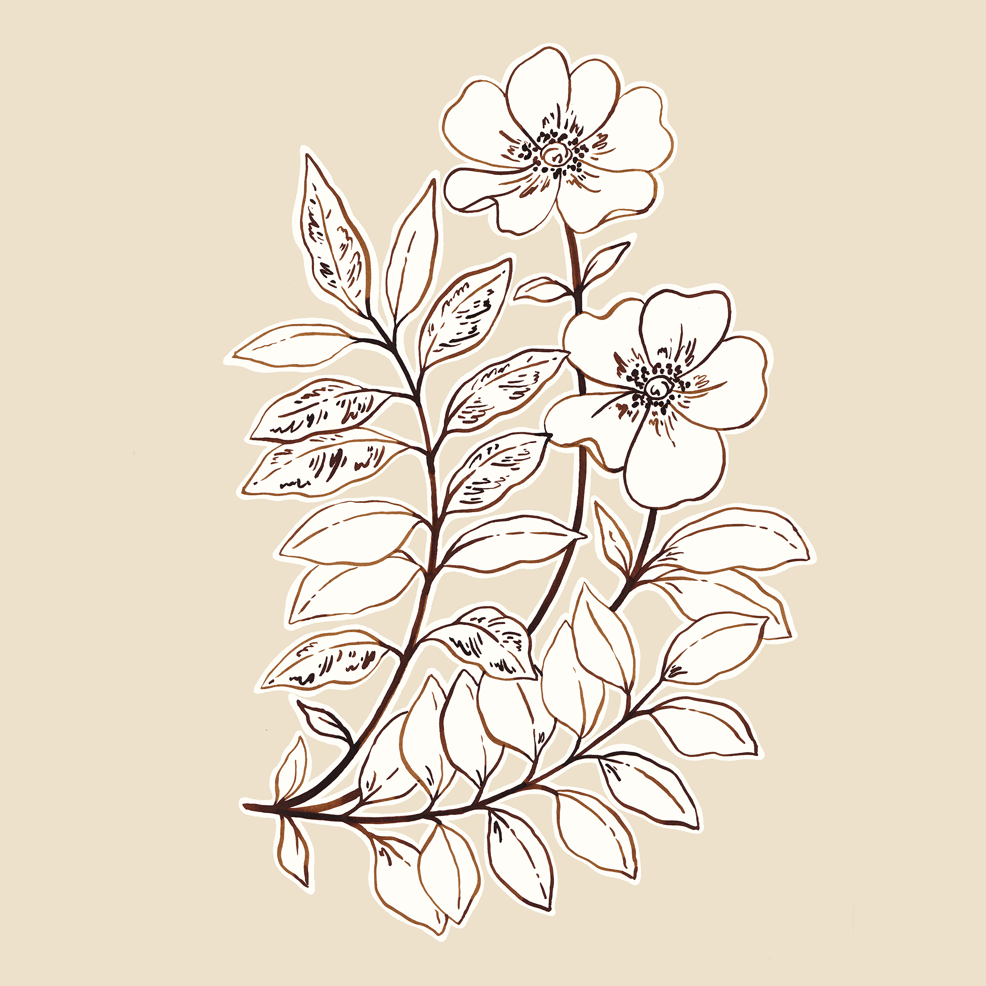 Ink_Illustration_1 web.png