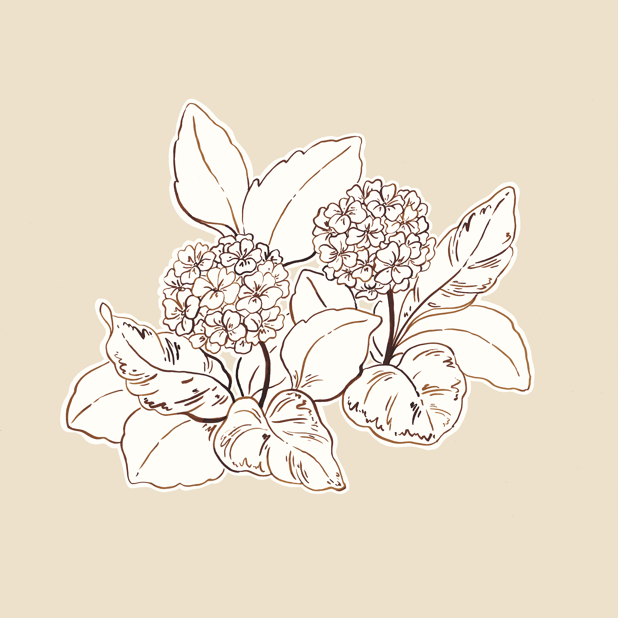 Ink_Illustration_3 web.png