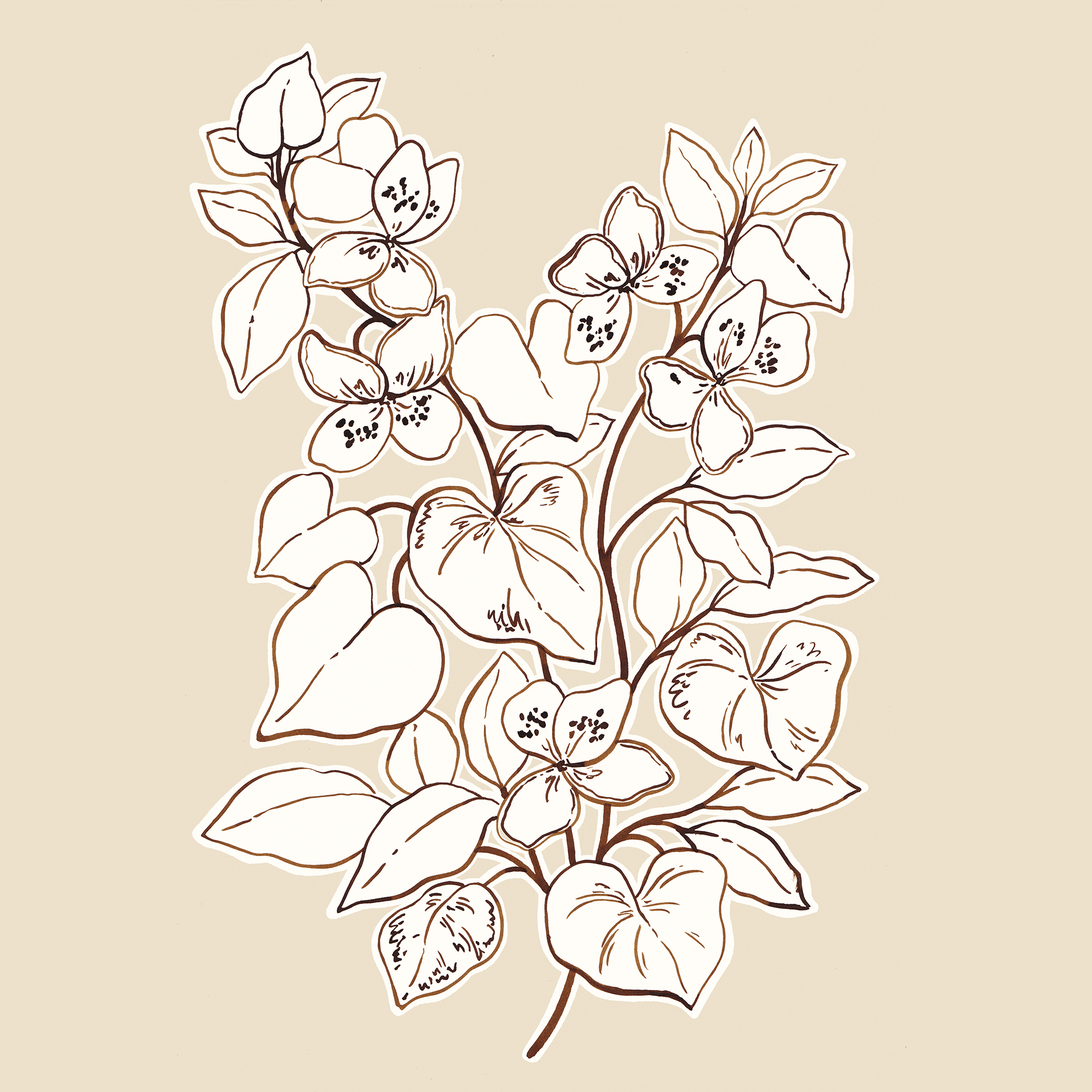 Ink_Illustration_4 web.png