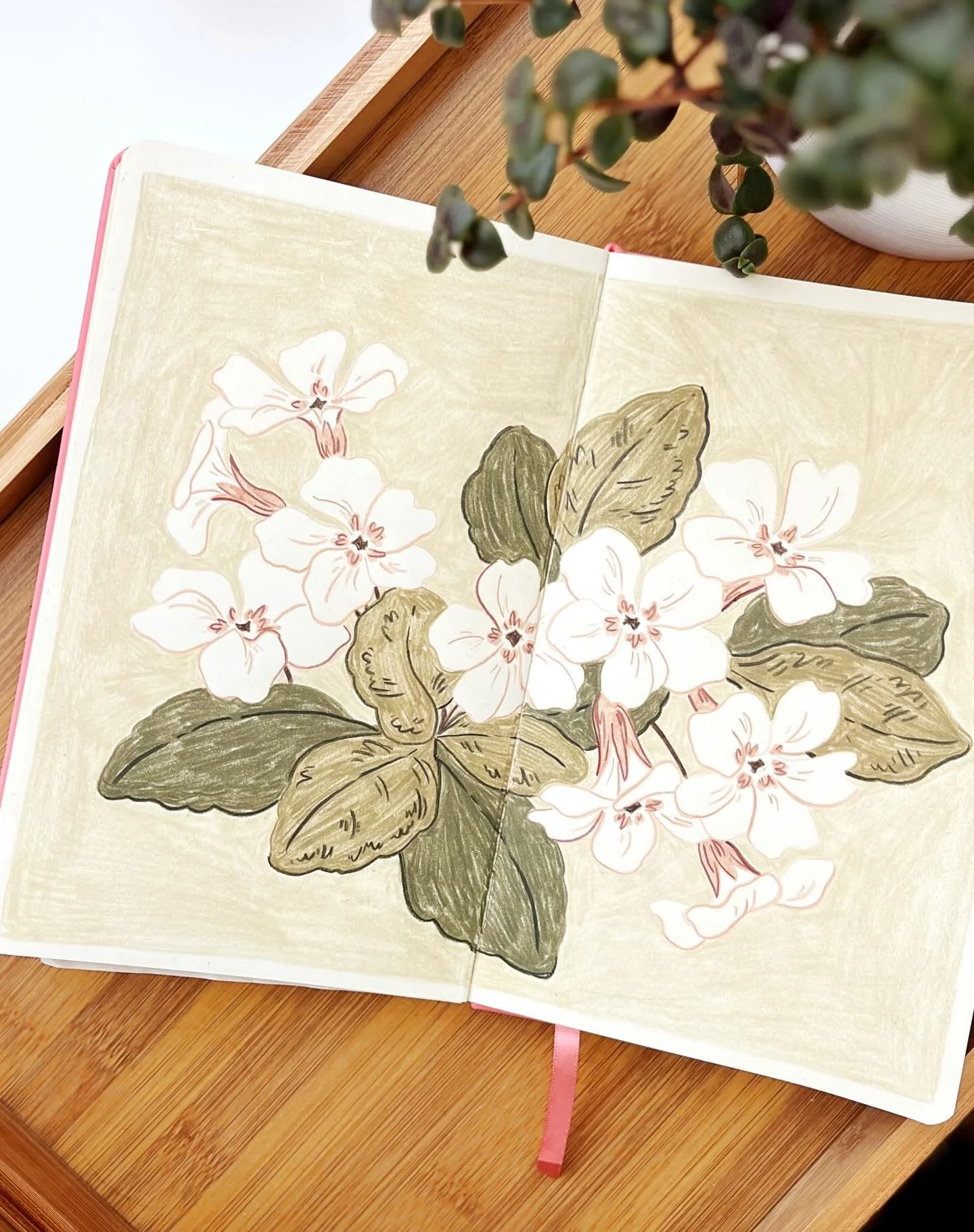 Day 2 of The 100 Day Project ✍🏻 using a photo of primroses that I took in Cornwall in April 2024 🌸 2/100