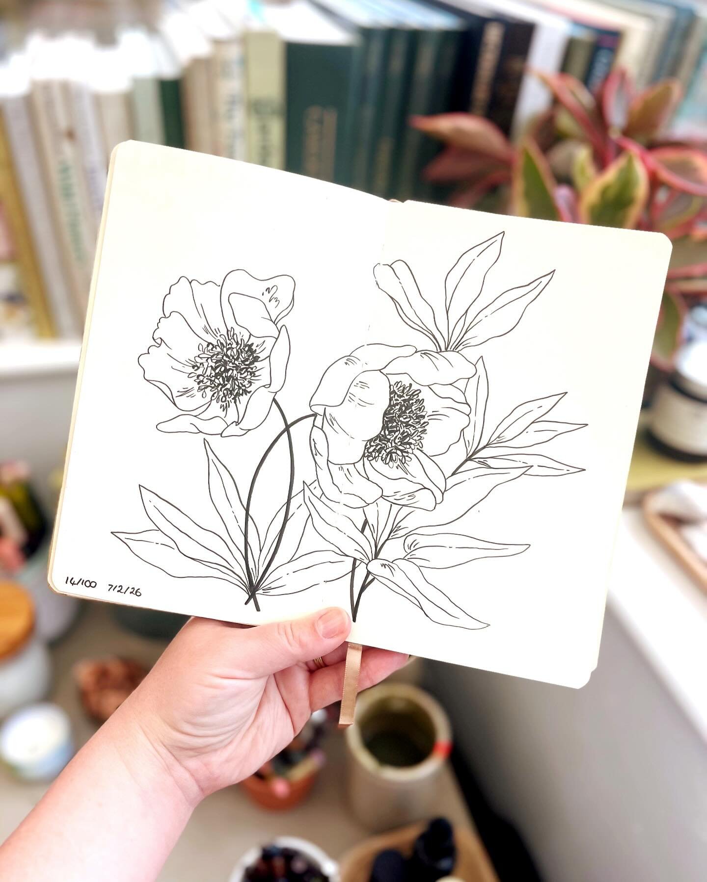 Day 14/100 for @dothe100dayproject ✍🏻 I used 2 reference images for this one - one from RHS Wisley in 2020, and one from Kew in 2022 🌸