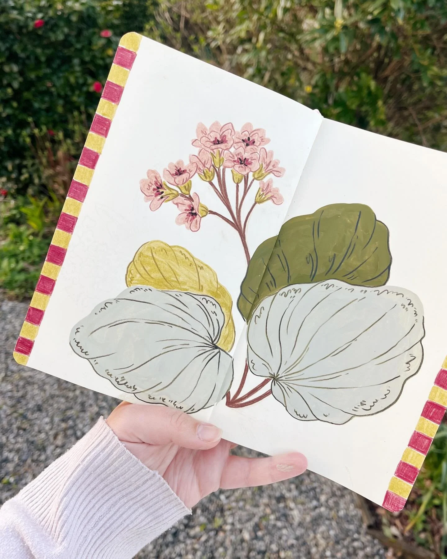 Days 21-28 of The 100 Day Project ✍🏻 I&rsquo;ve been sharing these every day in stories but I&rsquo;m little behind on posting them here 🌸 I&rsquo;m sticking with it so far and drawing every day - Friday&rsquo;s was even drawn on the train home fro