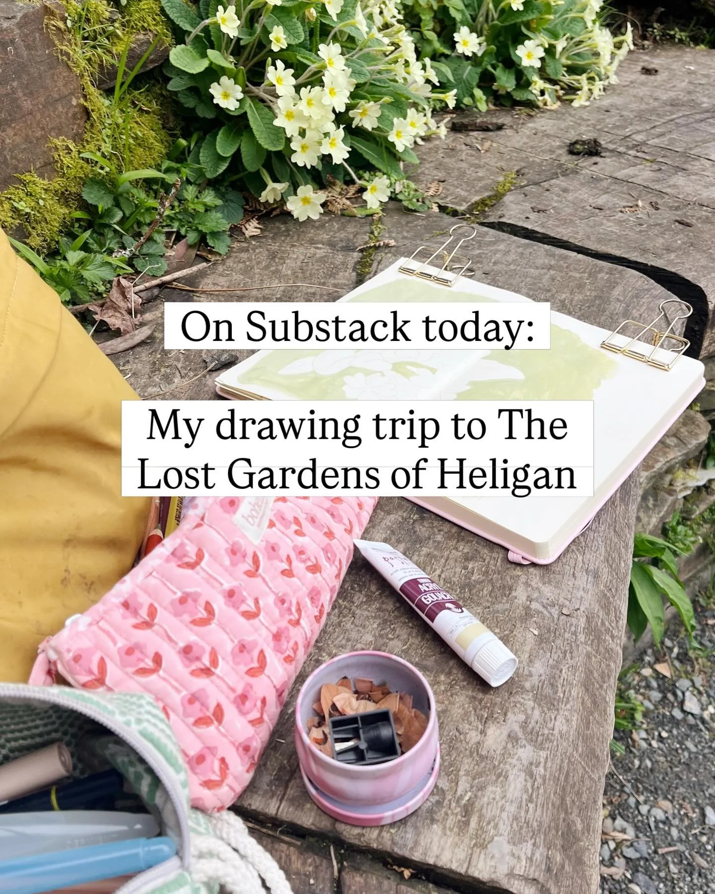 A new Substack post went up today, sharing lots of photos and sketchbook pages from my drawing trip to The Lost Gardens of Heligan last month ✍🏻🌸

#sketchbook #pleinairdrawing #lostgardensofheligan #sketchbookdrawings #inmysketchbook @heligangarden