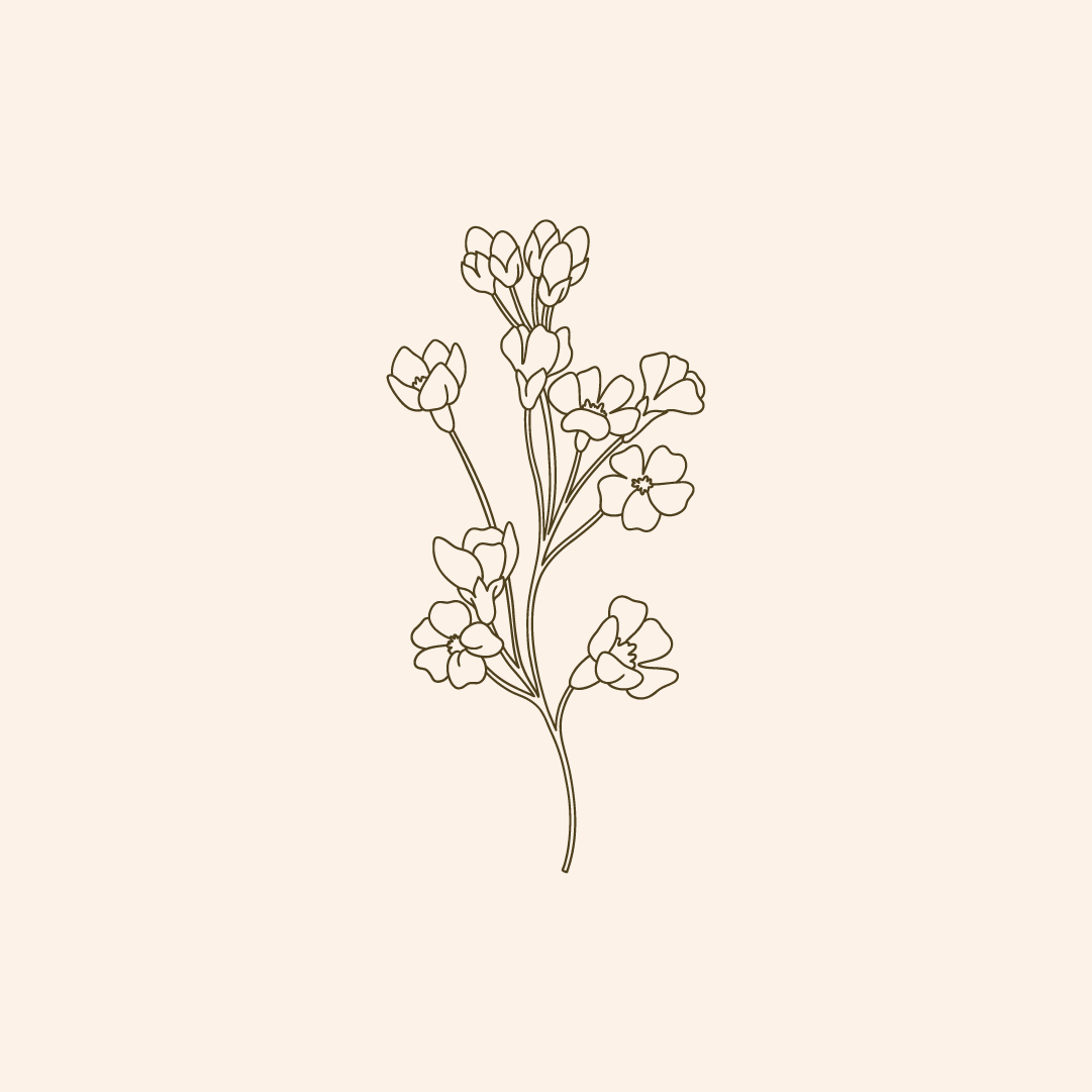 Farmhouse Branding by Emma Webb Studio 12.png