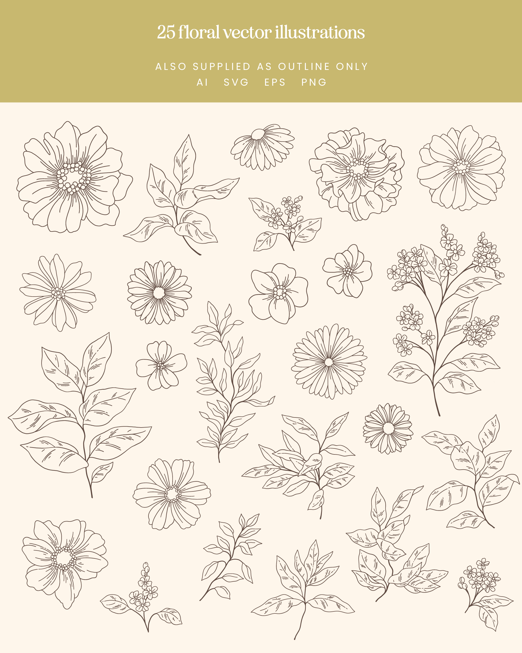 Summer Floral Hand Drawn Vector Illustrations