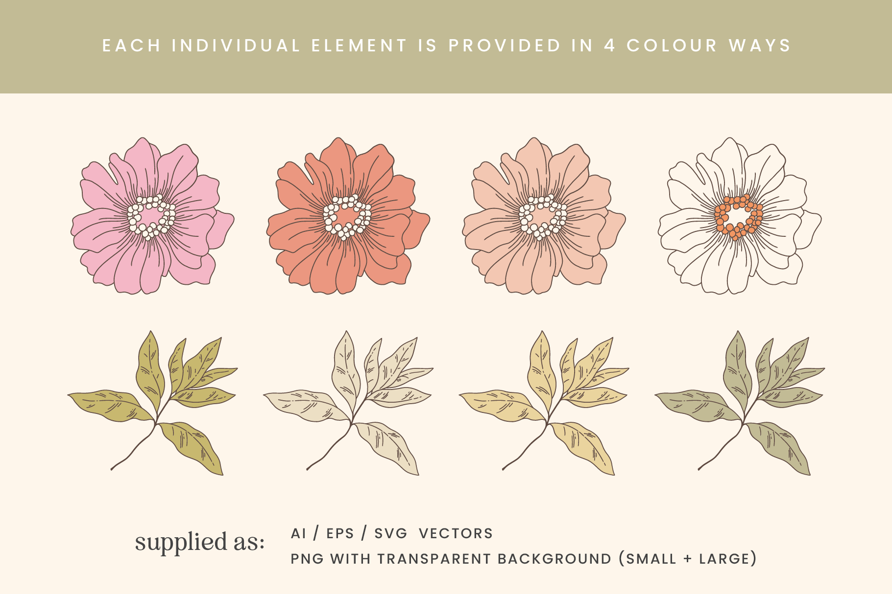 Summer Floral Hand Drawn Vector Illustrations