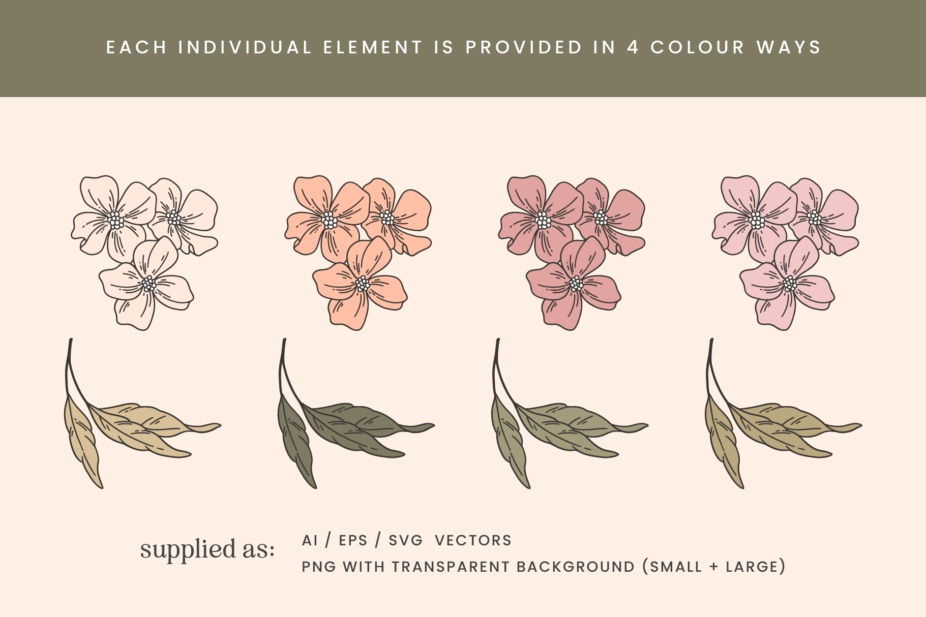 Garden Floral Hand Drawn Vector Illustrations