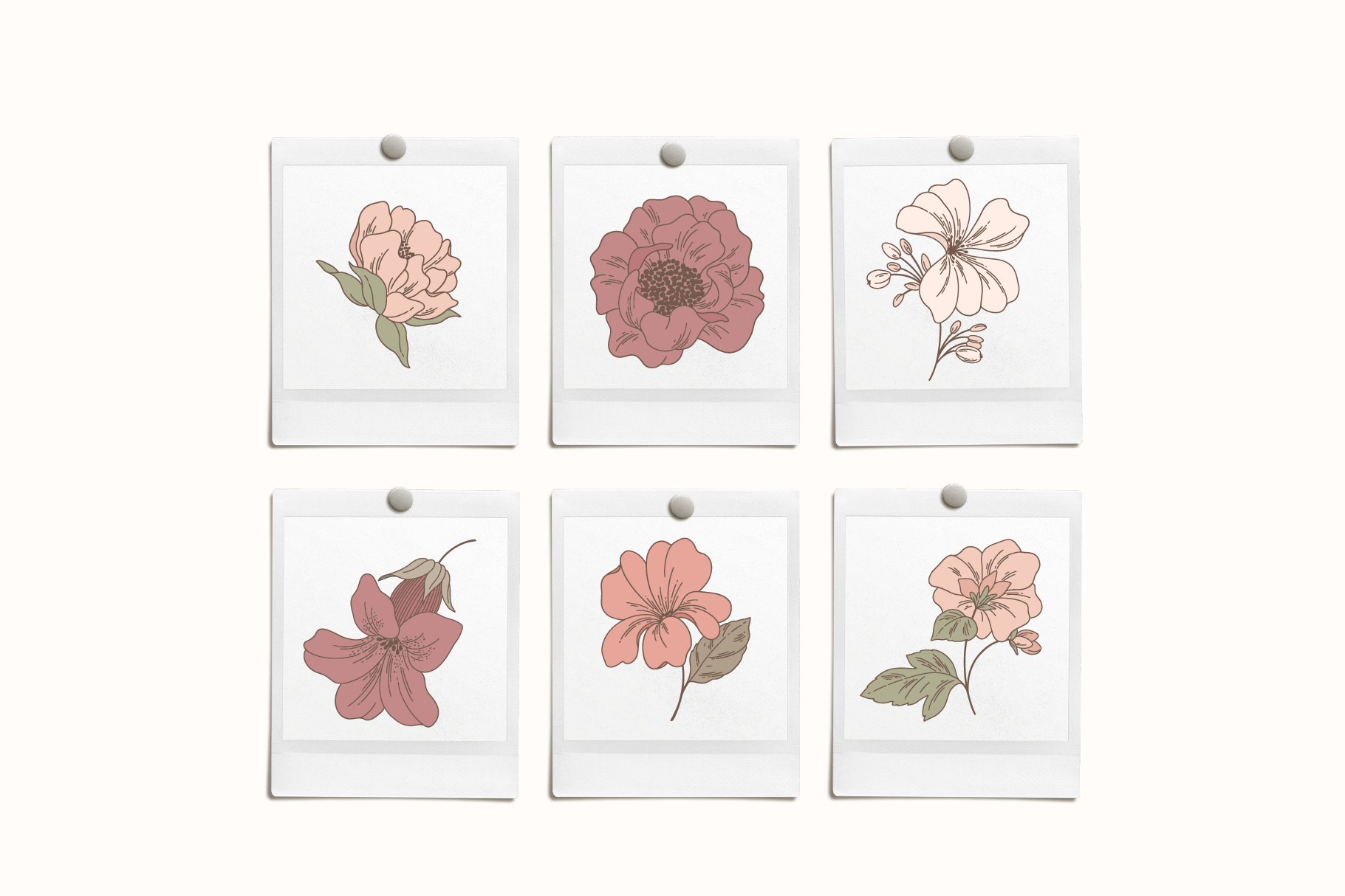 Blush Garden Floral Vector Illustrations