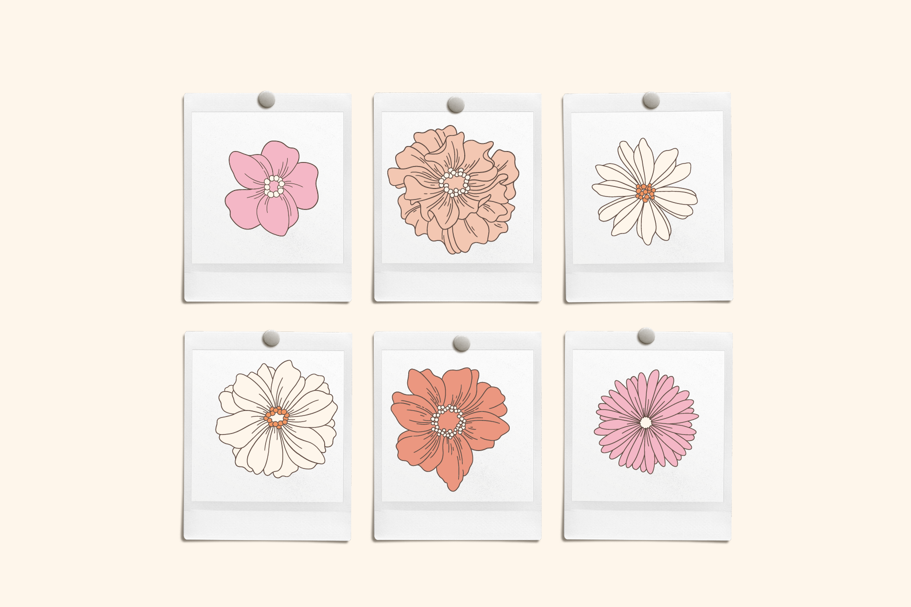 Summer Floral Hand Drawn Vector Illustrations