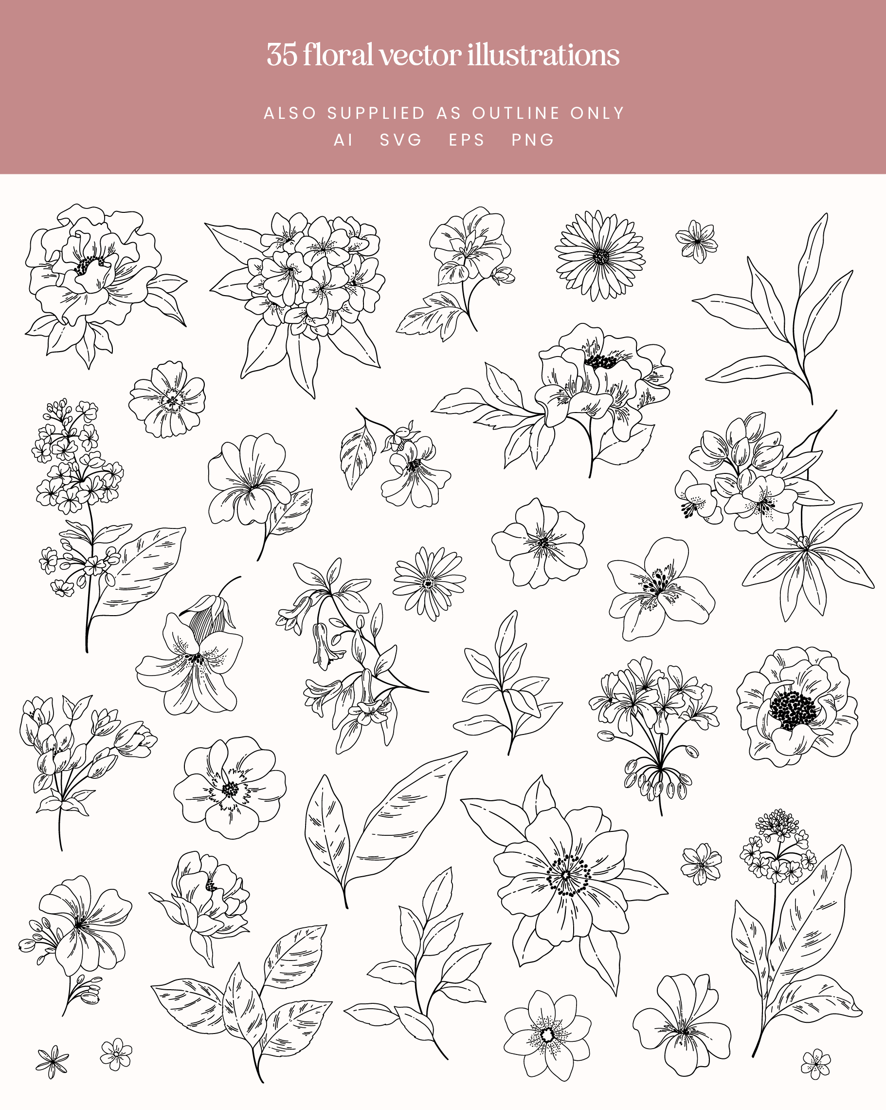 Blush Garden Floral Vector Illustrations