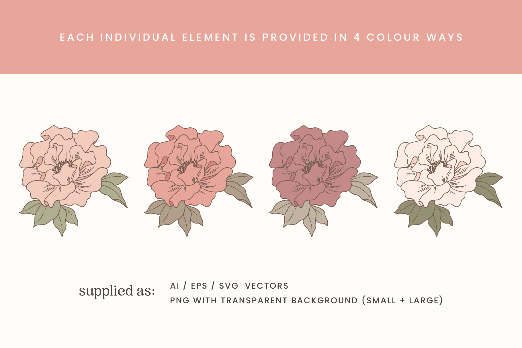 Blush Garden Floral Vector Illustrations