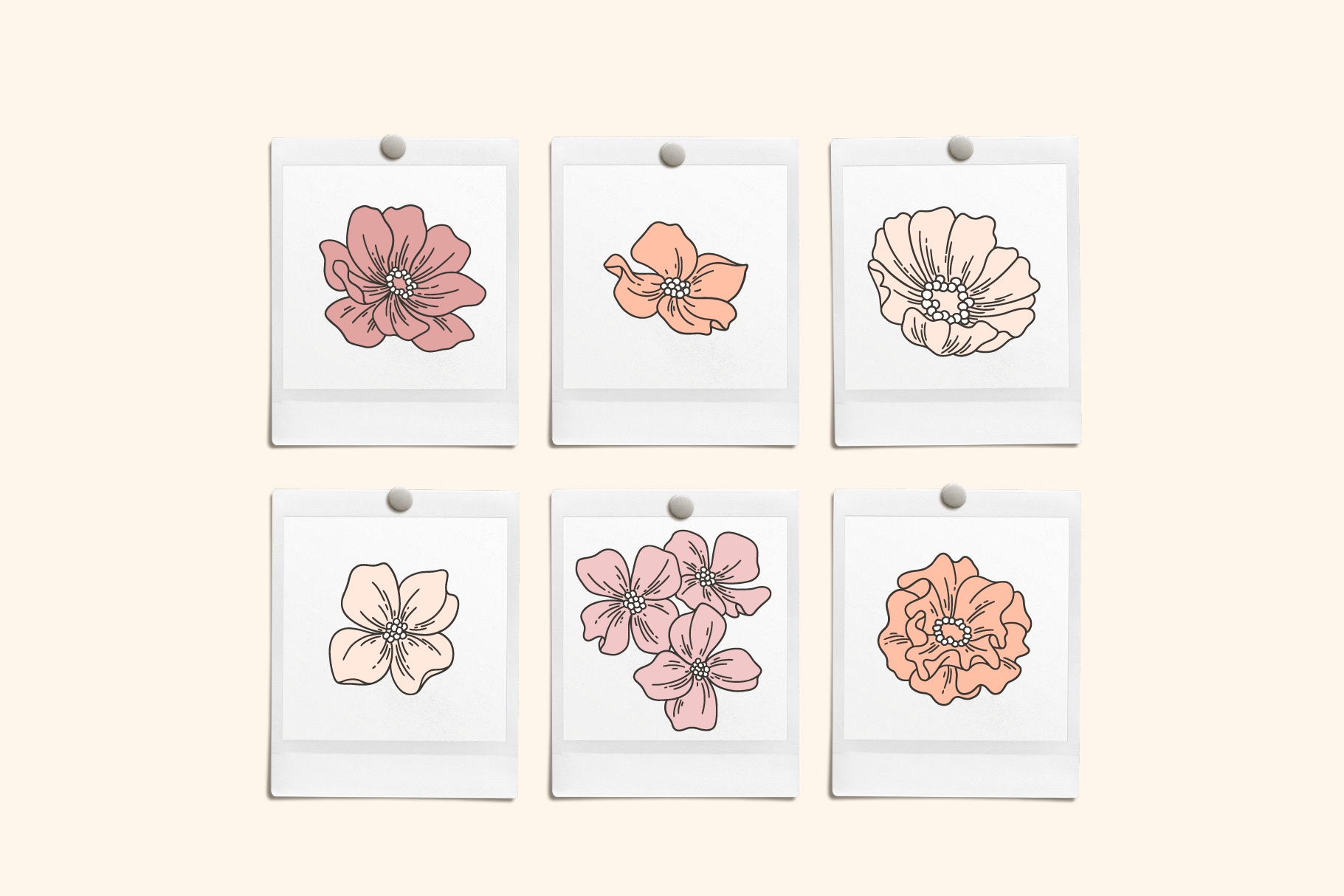 Garden Floral Hand Drawn Vector Illustrations