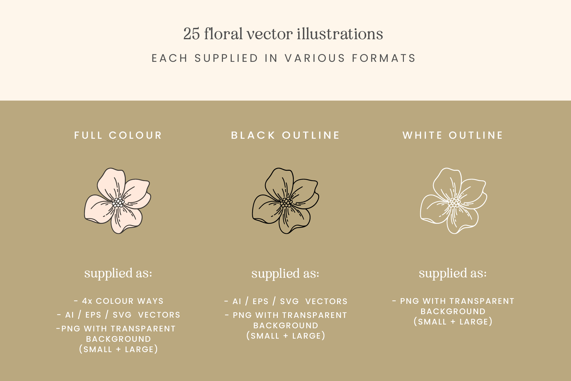 Garden Floral Hand Drawn Vector Illustrations