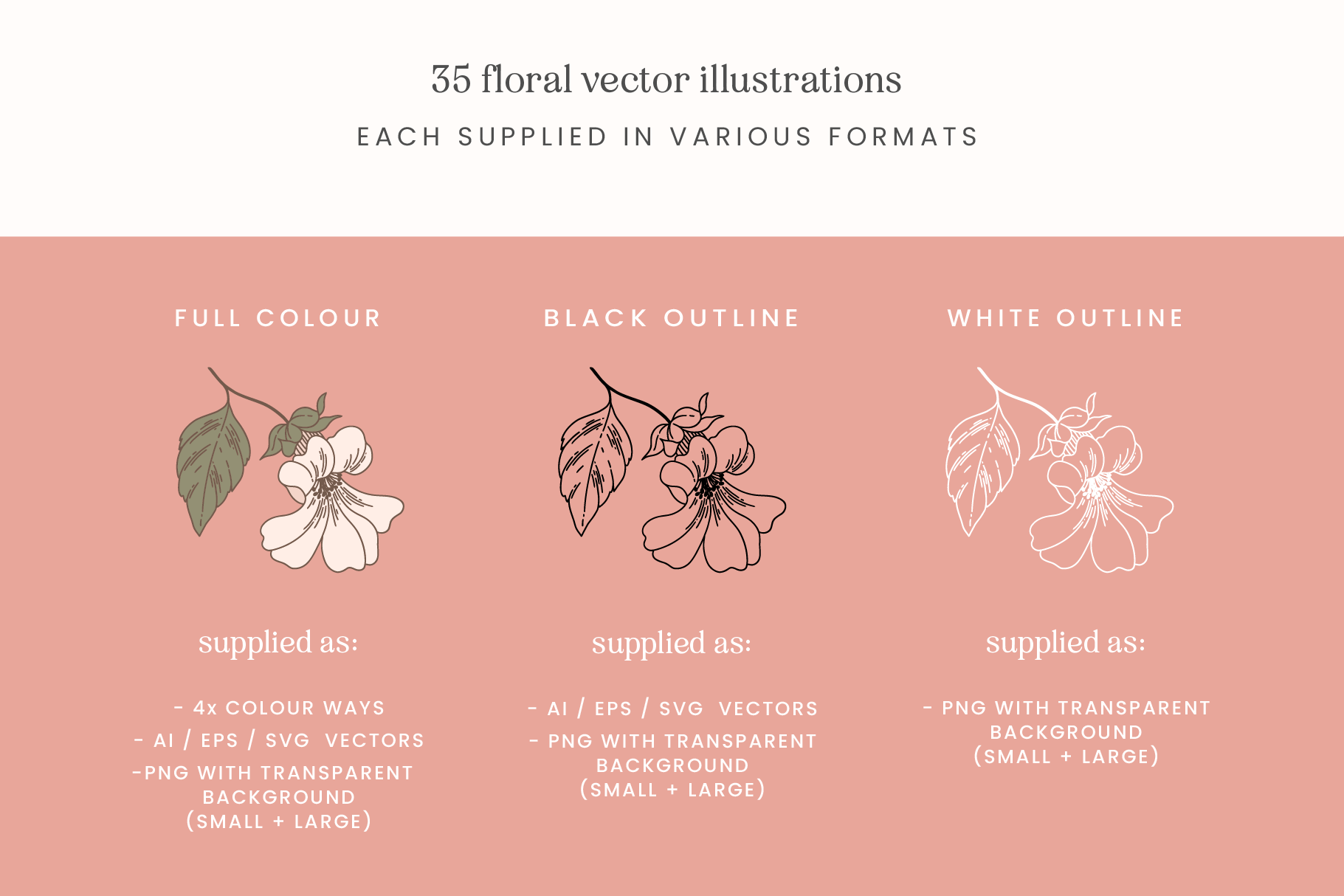 Blush Garden Floral Vector Illustrations
